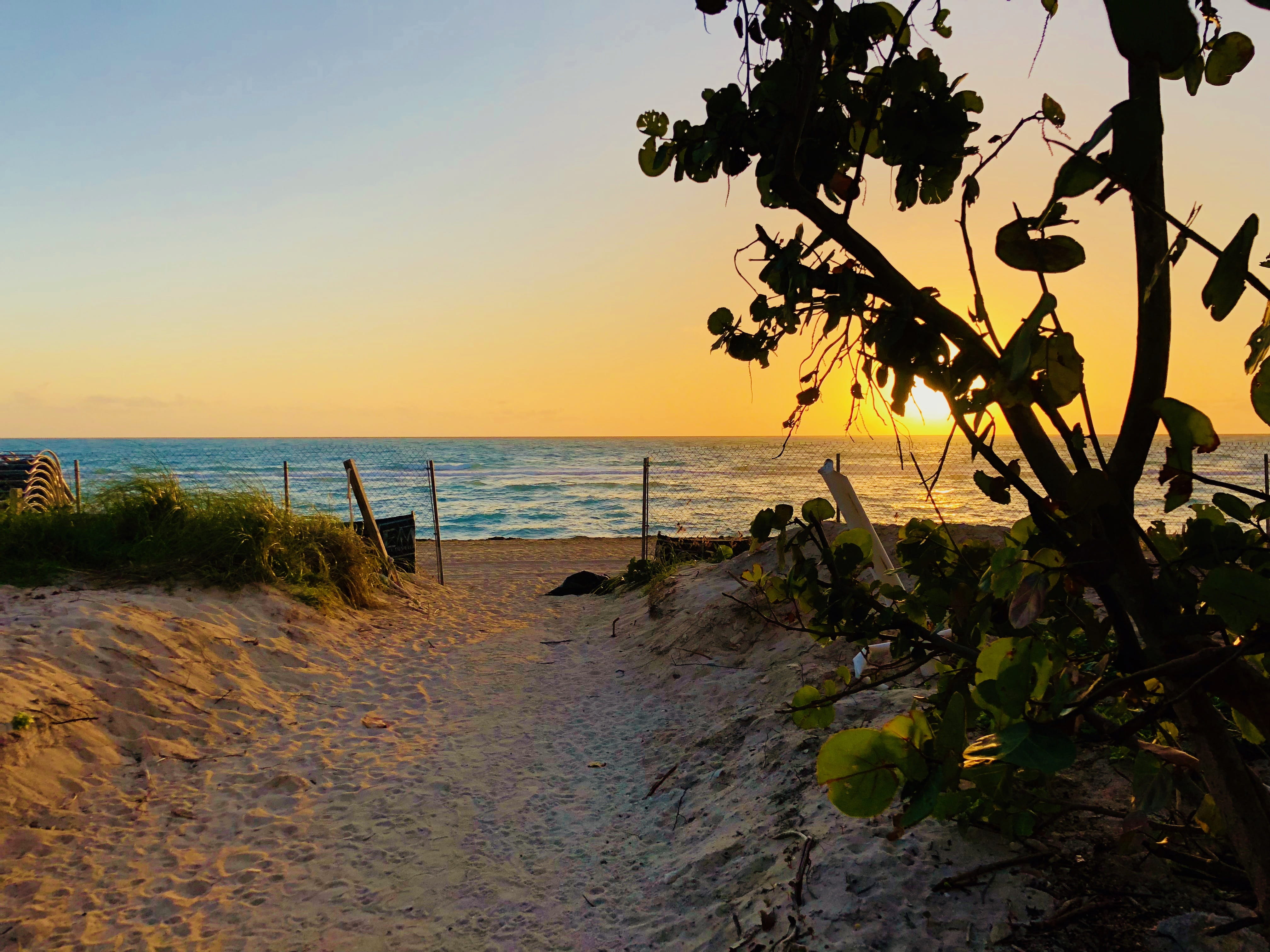 florida, sand, tranquil scene, fl, growth, akoya beach properties, sky, plant, usa, outdoors, miami, horizon, water, sea, tree, no people, scenics - nature, HD Wallpaper