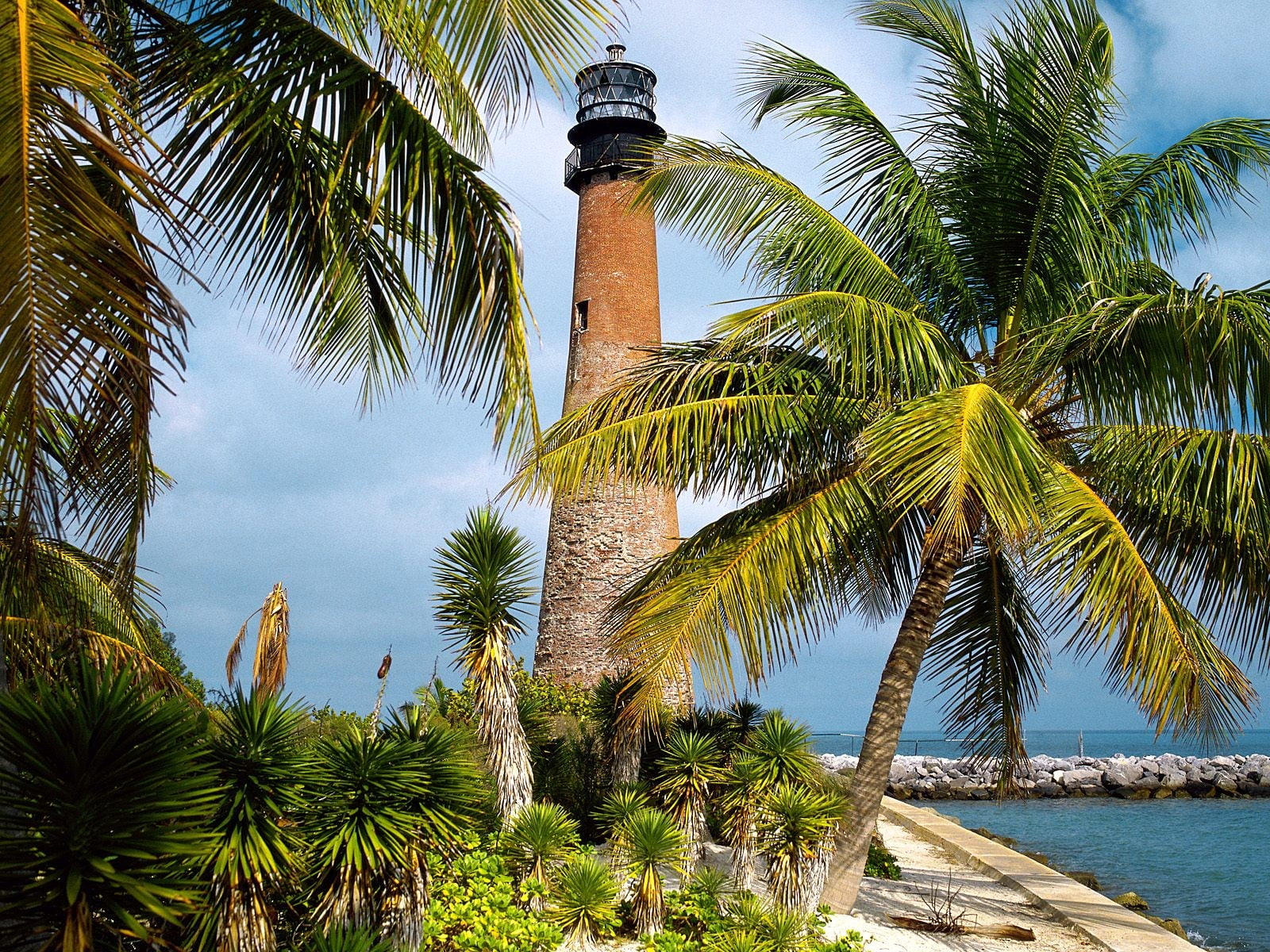 palm leaf, day, plant, FL, travel destinations, Lighthouse, architecture, palm tree, no people, sky, land, coconut palm tree, brown, growth, beach, tower, HD Wallpaper
