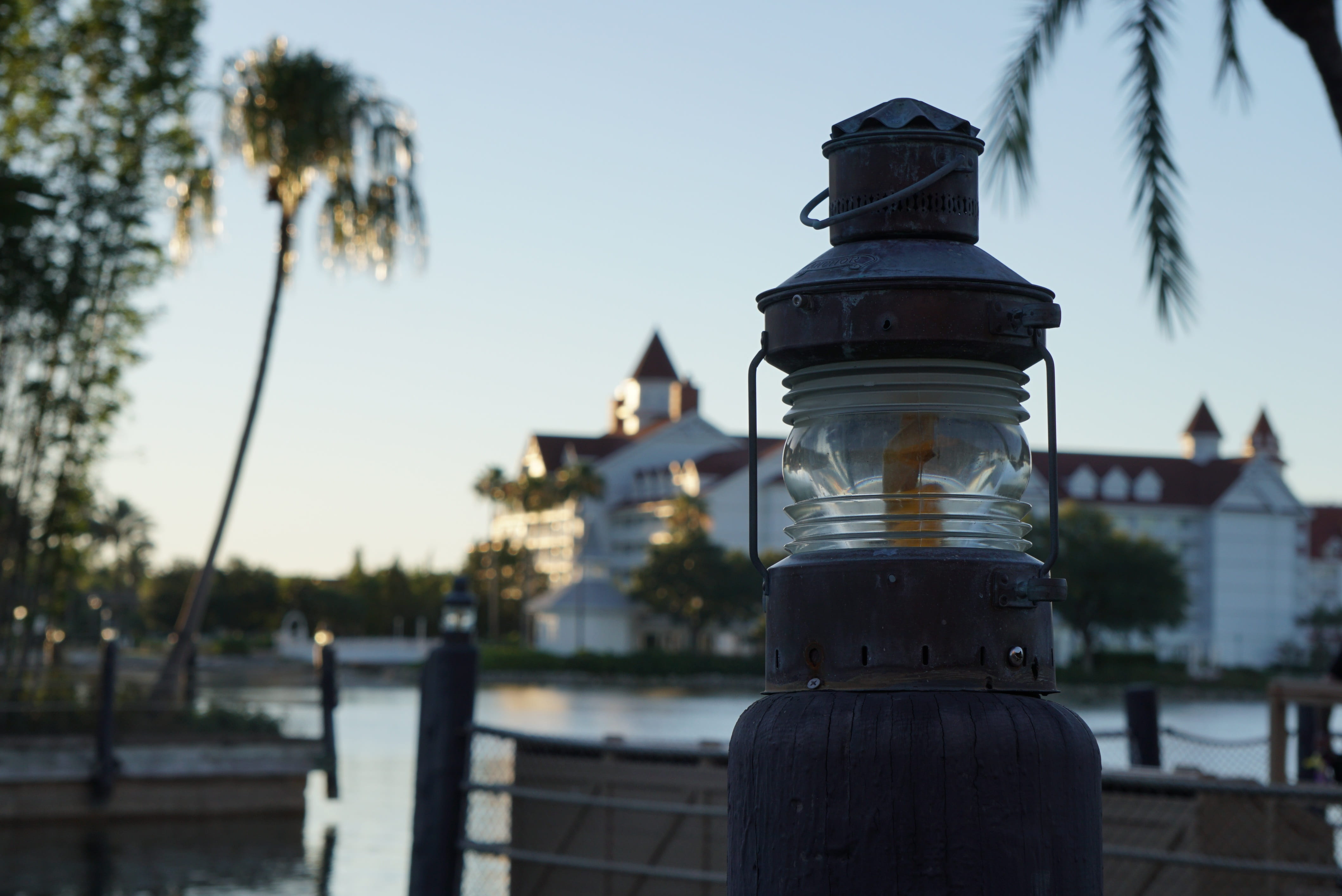 focus on foreground, river, sky, textile, water, tropical, texture, walt disney world, plant, pattern, nature, grand floridian, outdoors, 4K, palm trees, HD Wallpaper