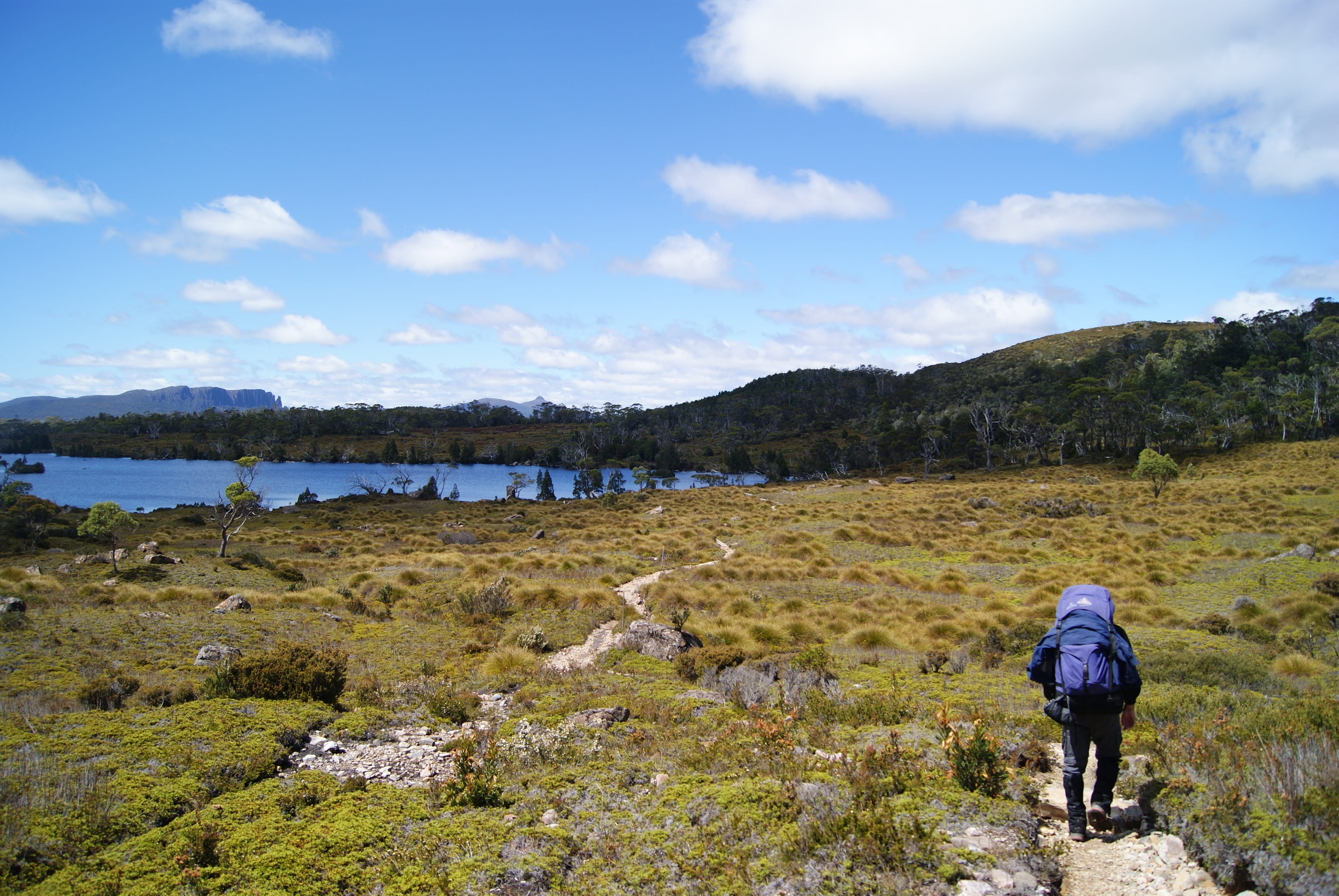 panorama, wilderness, beauty in nature, rear view, australia, men, landscape, park, leisure activity, windermere, national, Overland Track, mountain, outdoors, HD Wallpaper