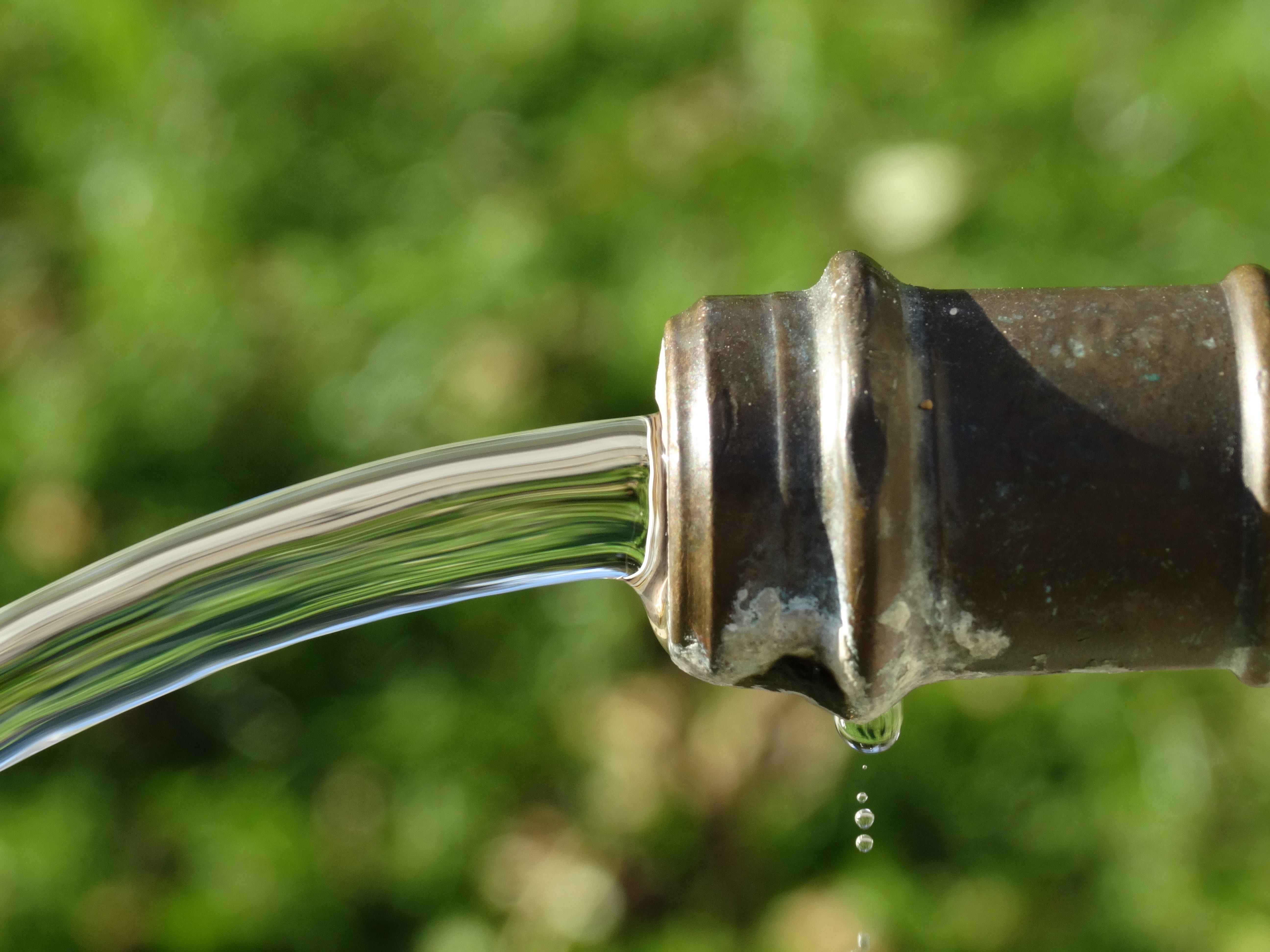 focus on foreground, green color, brown, wire, metal, silver colored, clear, plant, close-up, day, tube, drinking water, drop, outdoors, steel, clean, growth, HD Wallpaper