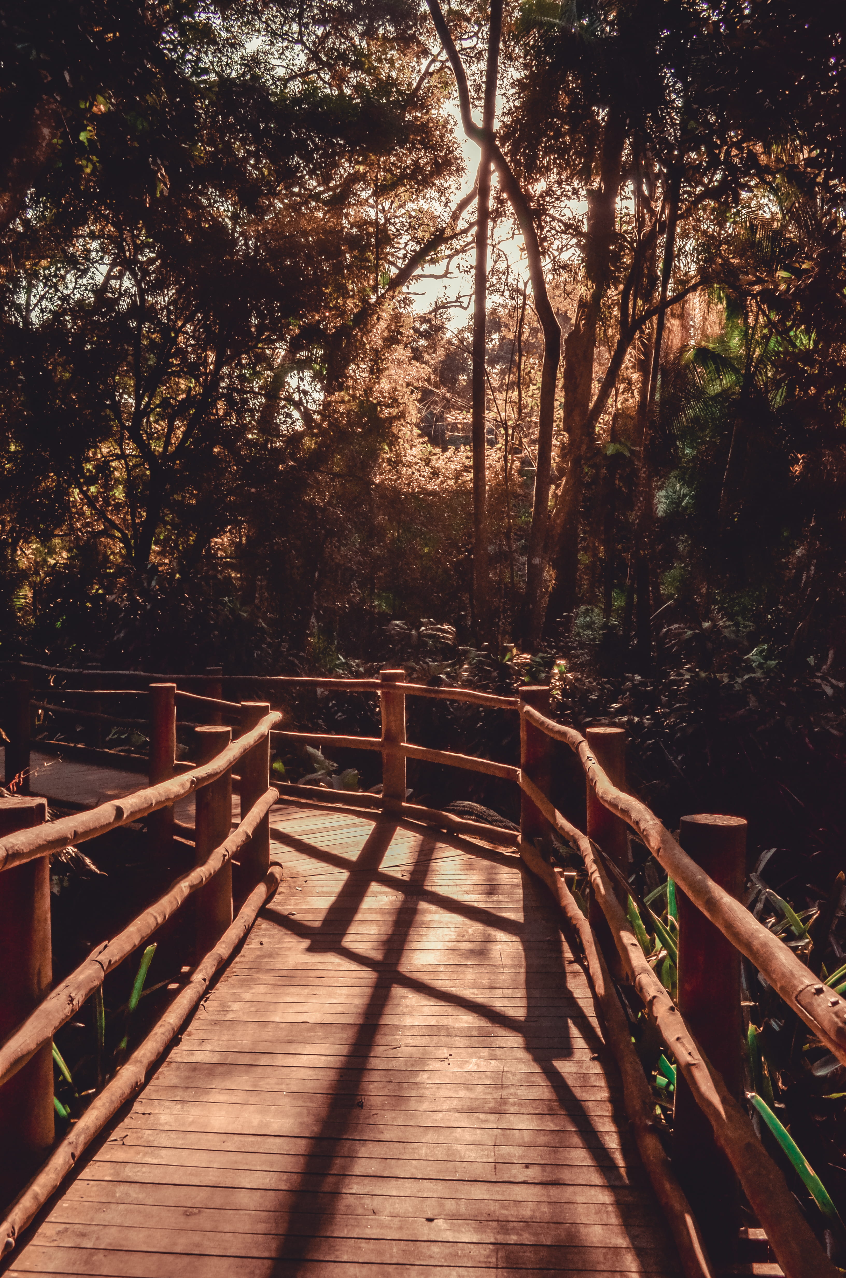 sunlight, road, land, trail, direction, walkway, brown, forest, landscape, park, path, wood, railing, light, day, scenic, boardwalk, bridge - man made structure, Phone HD Wallpaper