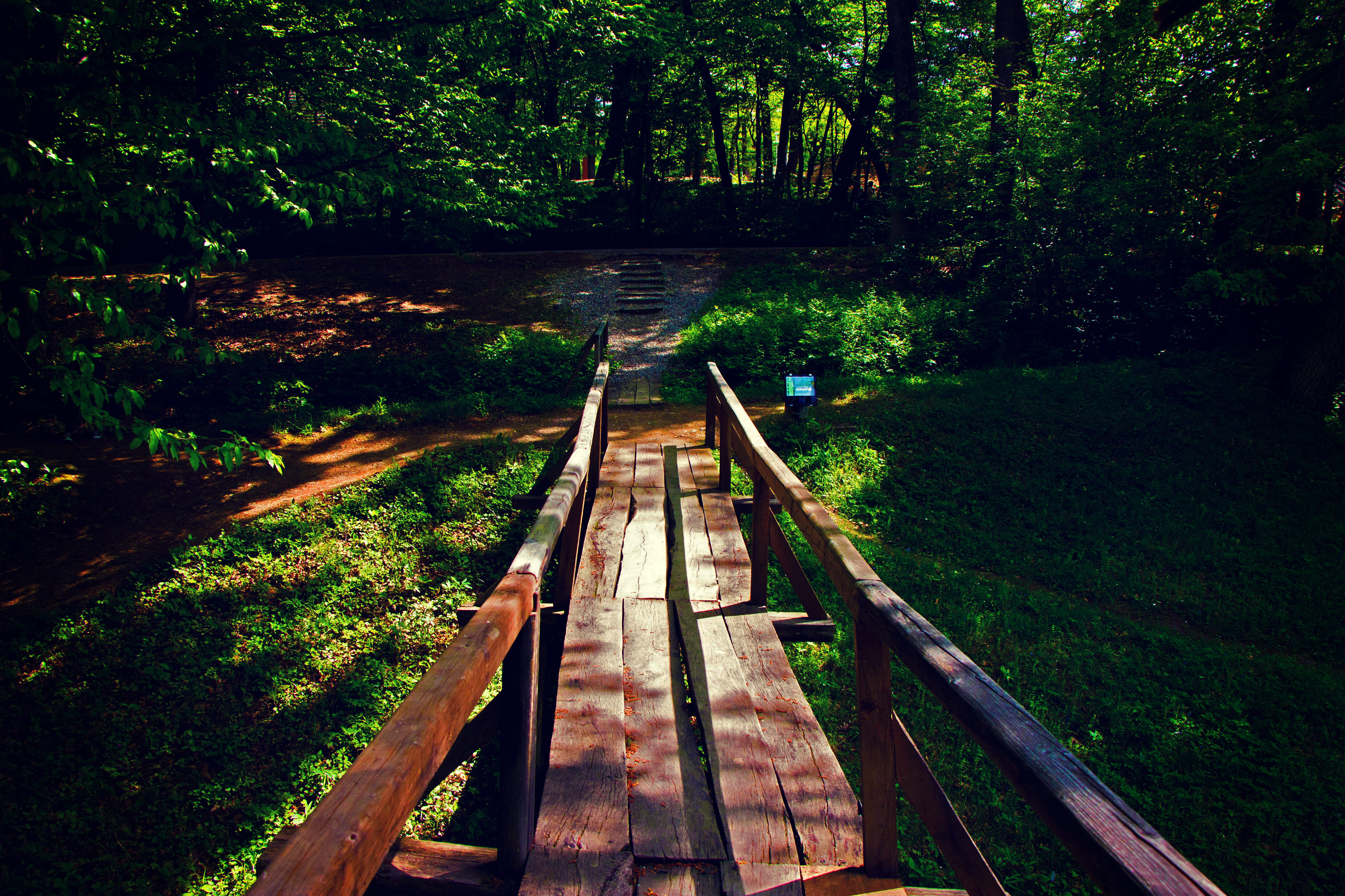 tranquil scene, water, guidance, 5K, tree, golden, beauty in nature, pathway, park, path, wood - material, plant, outdoors, daylight, connection, track, HD Wallpaper