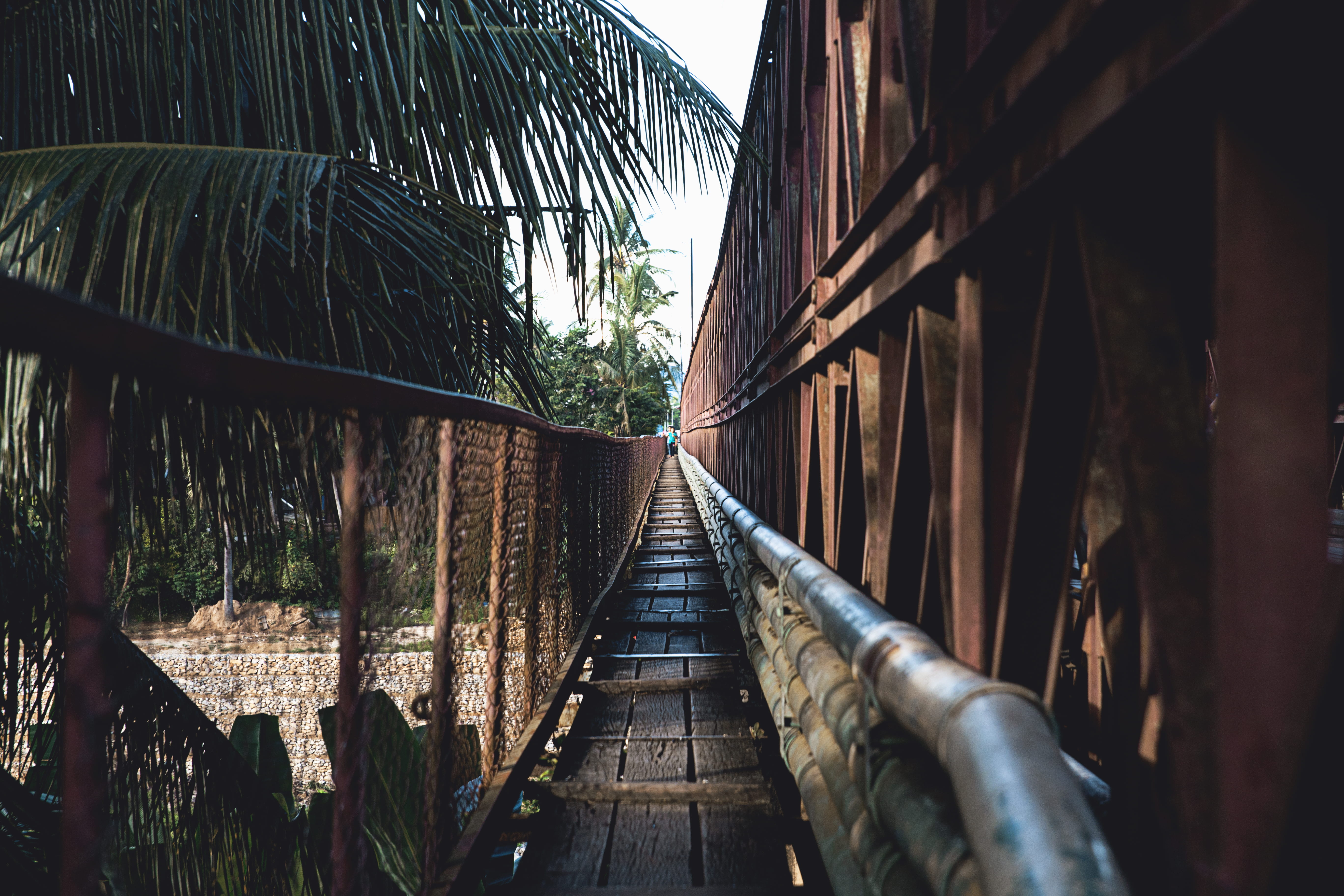 the way forward, southeast asium, vanishing point, trees, no people, railing, 5K, plant, walkway, outdoors, tree, fence, building, near, pipe, palm tree, HD Wallpaper