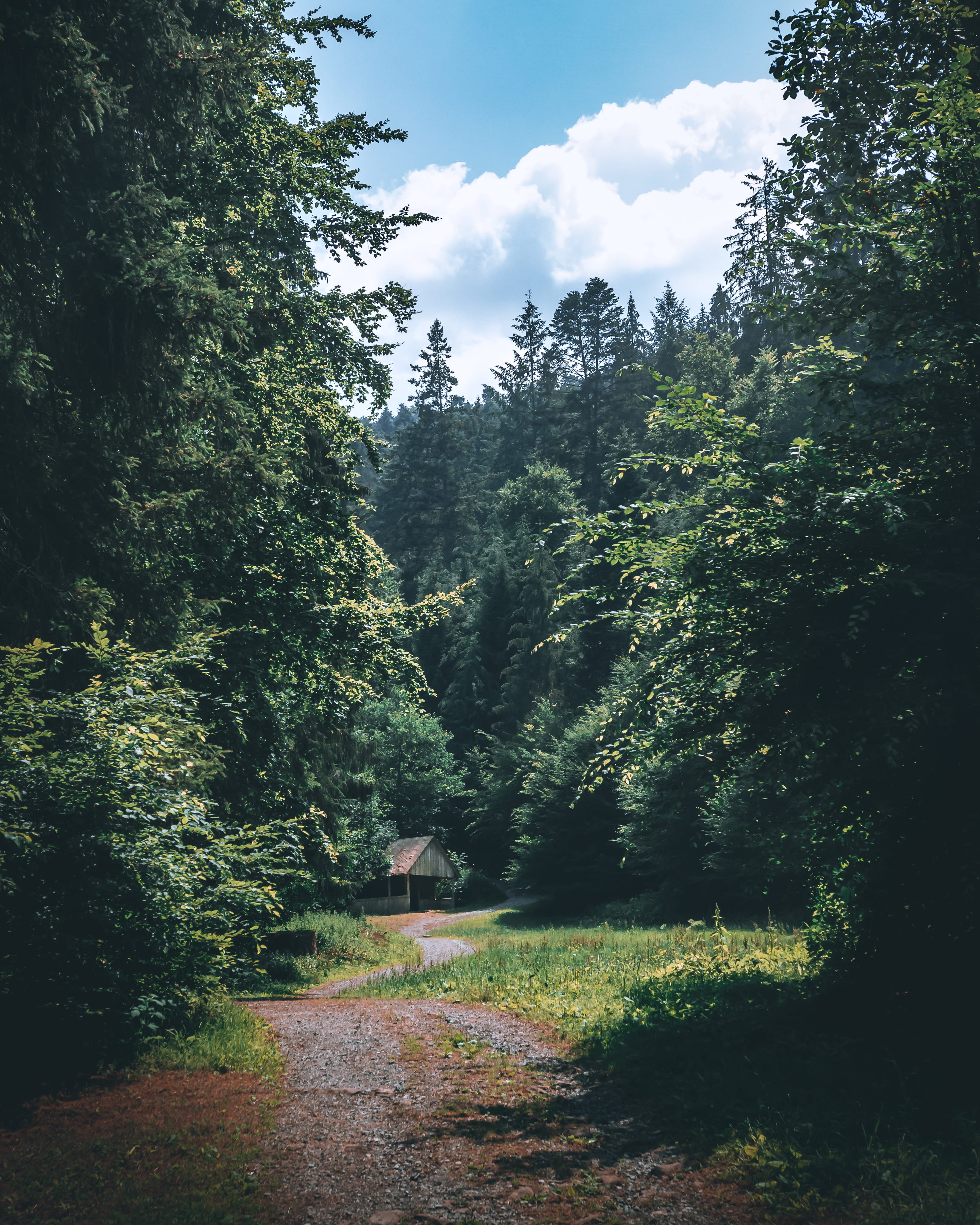 trek, cabin, tranquil scene, environment, adventure, beauty in nature, bad liebenzell, flora, non-urban scene, house, 4K, tree, brown, wooden, no people, Phone HD Wallpaper