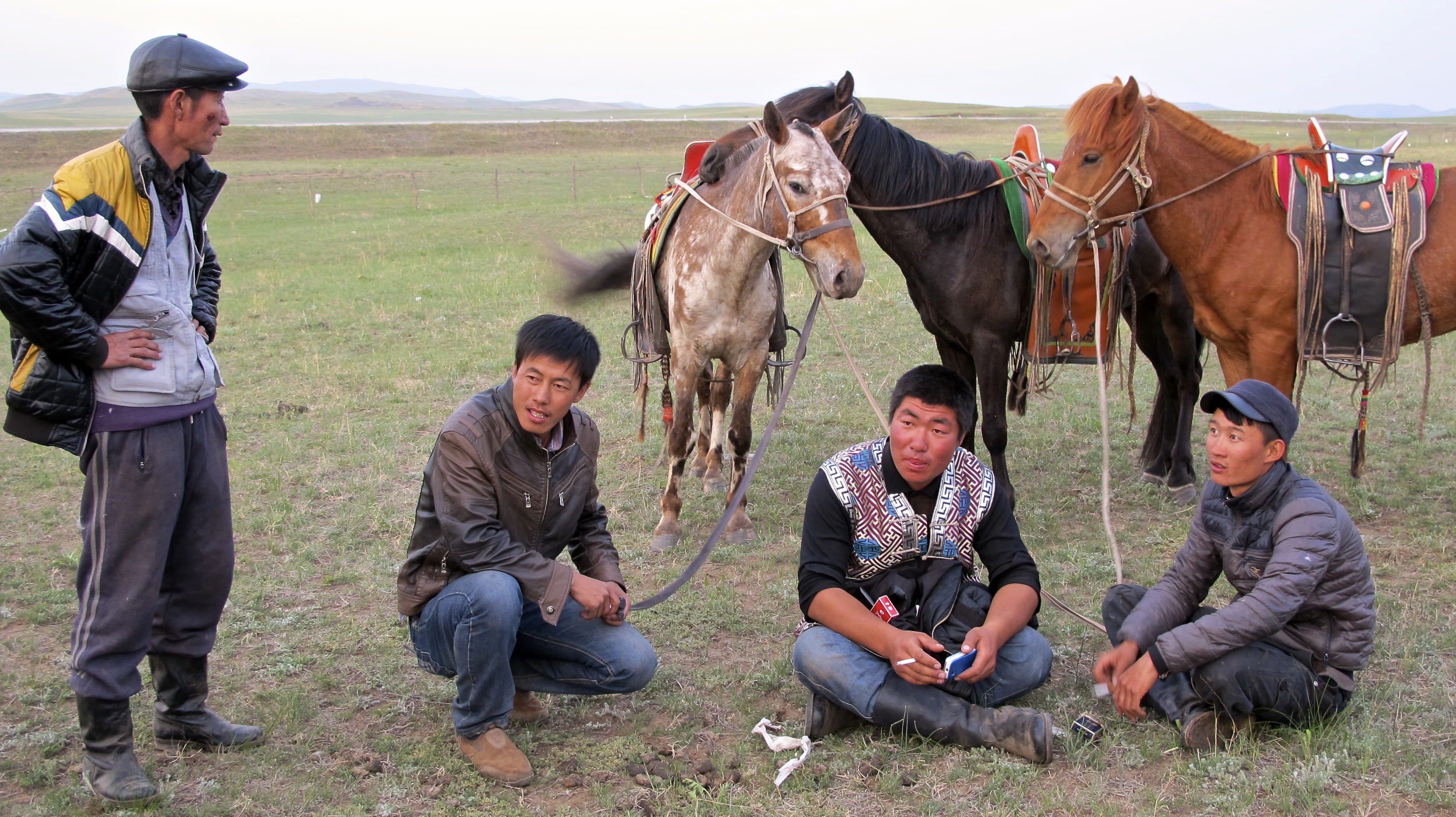 scenery, nature, history, horse, field, domestic, people, men, animal wildlife, sky, cowboys, young adult, domestic animals, inner mongolia, mature men, HD Wallpaper