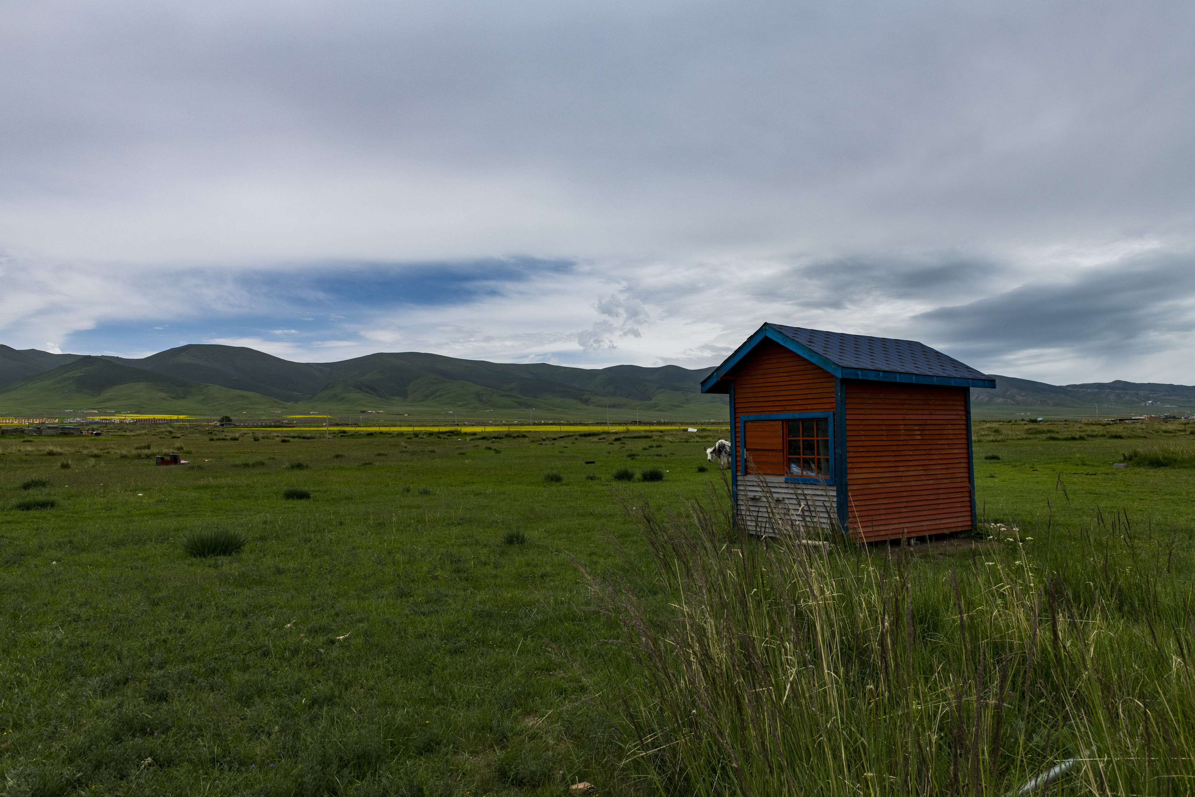 grassland, brown, day, outdoors, land, grass, no people, housing, architecture, barn, cabin, mountain, daytime, countryside, rural, building, built structure, HD Wallpaper