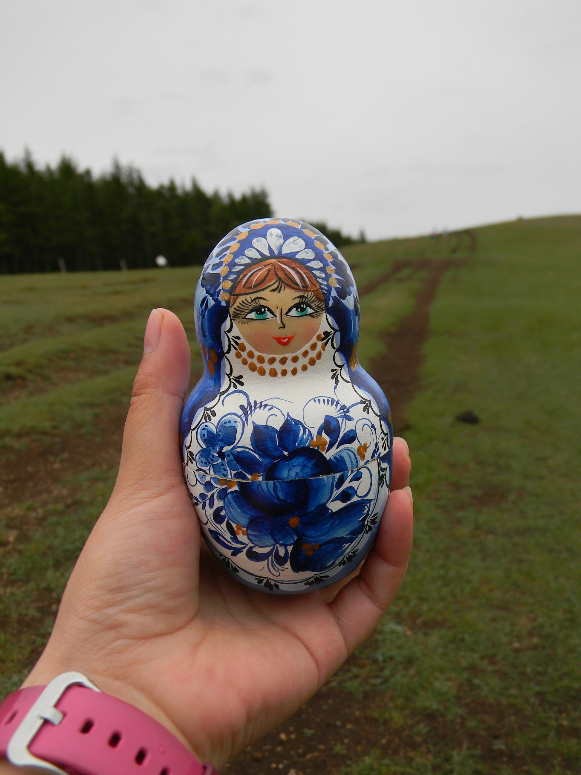 body part, close-up, outdoors, inner mongolia, land, tourism, real people, grass, matryoshka, lifestyles, nature, plant, creativity, focus on foreground, Phone HD Wallpaper