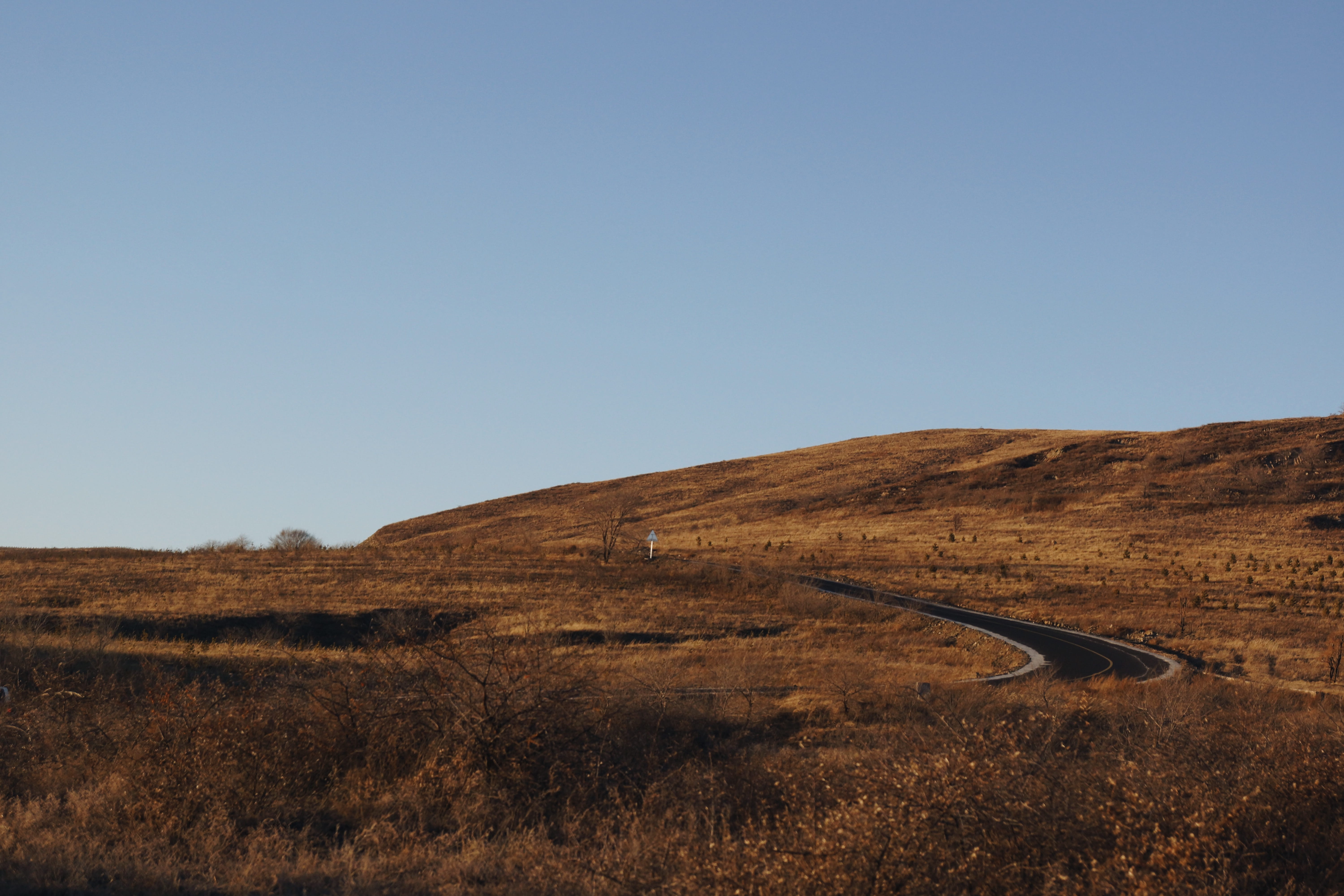 sky, scenics - nature, blue, 5K, copy space, animal, china, plant, mound, non-urban scene, remote, climate, savanna, tranquility, plateau, no people, offroad, HD Wallpaper
