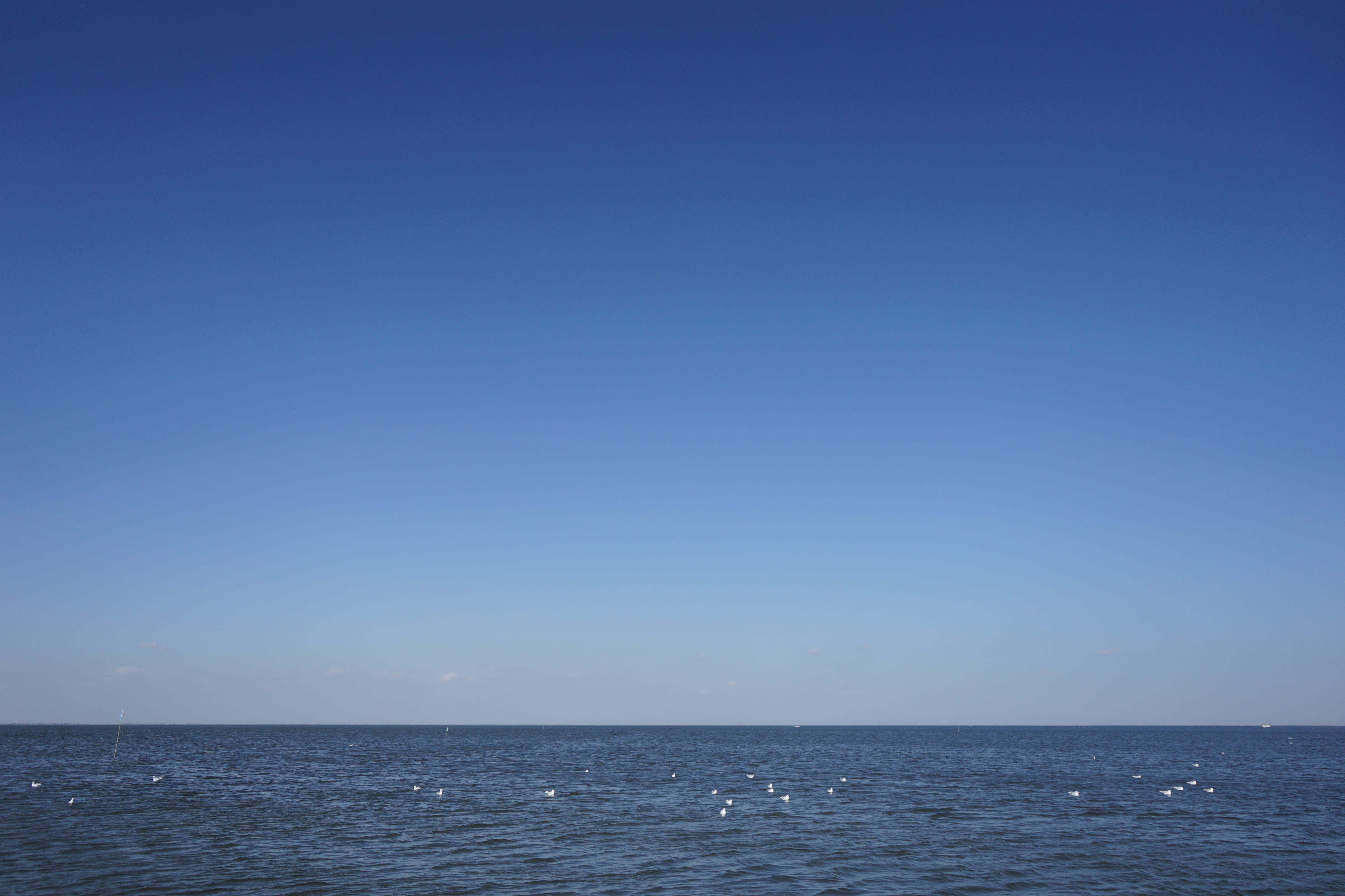 blue, idyllic, clear sky, seascape, tranquility, inner mongolia, 5K, sky, outdoors, day, copy space, no people, scenics - nature, horizon, tranquil scene, HD Wallpaper