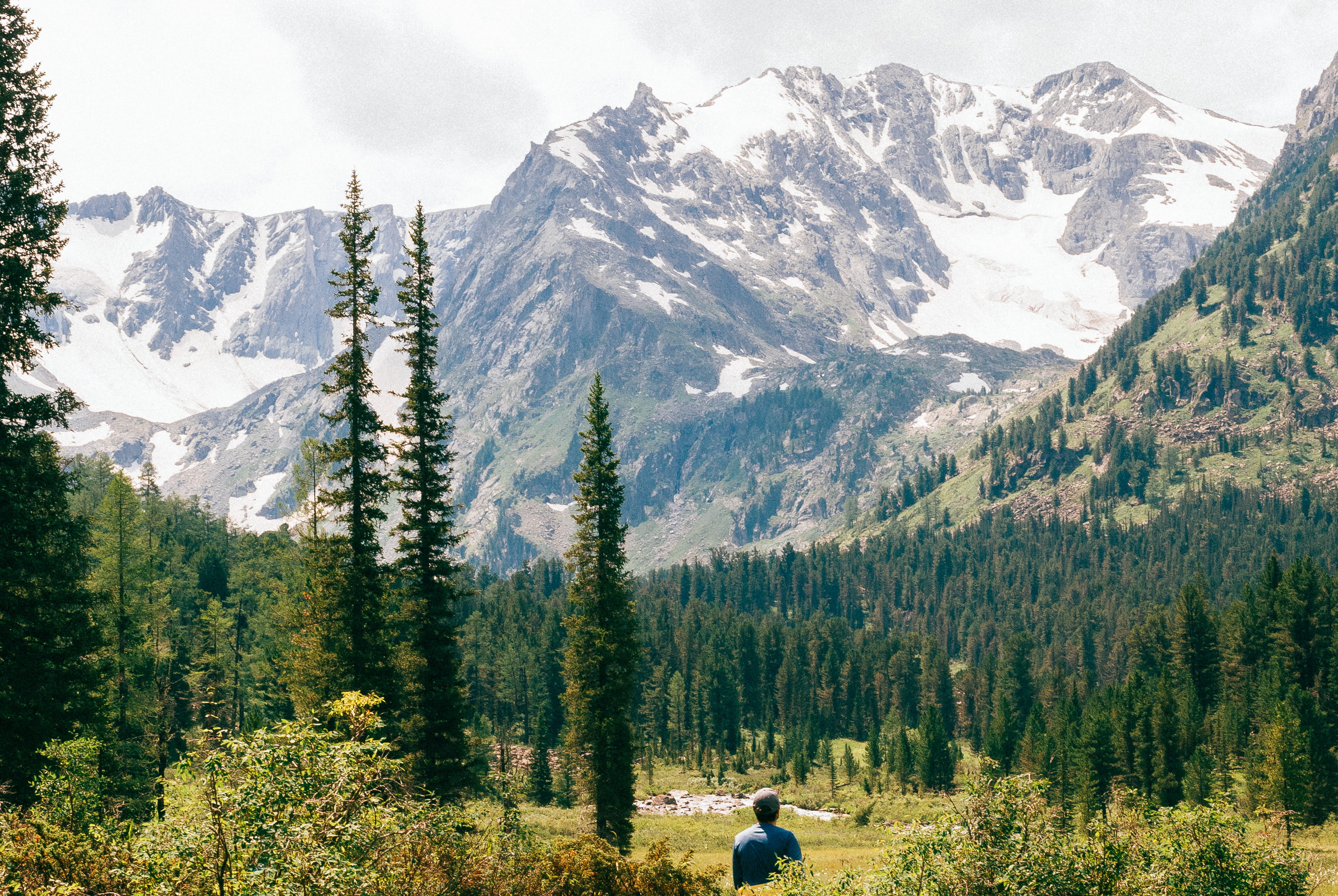 near, rocky Mountains, covered, capped, summer, t-shirt, nature, outdoors, rear view, rock mountain, scenics, no People, leisure activity, woodland, 2K, HD Wallpaper