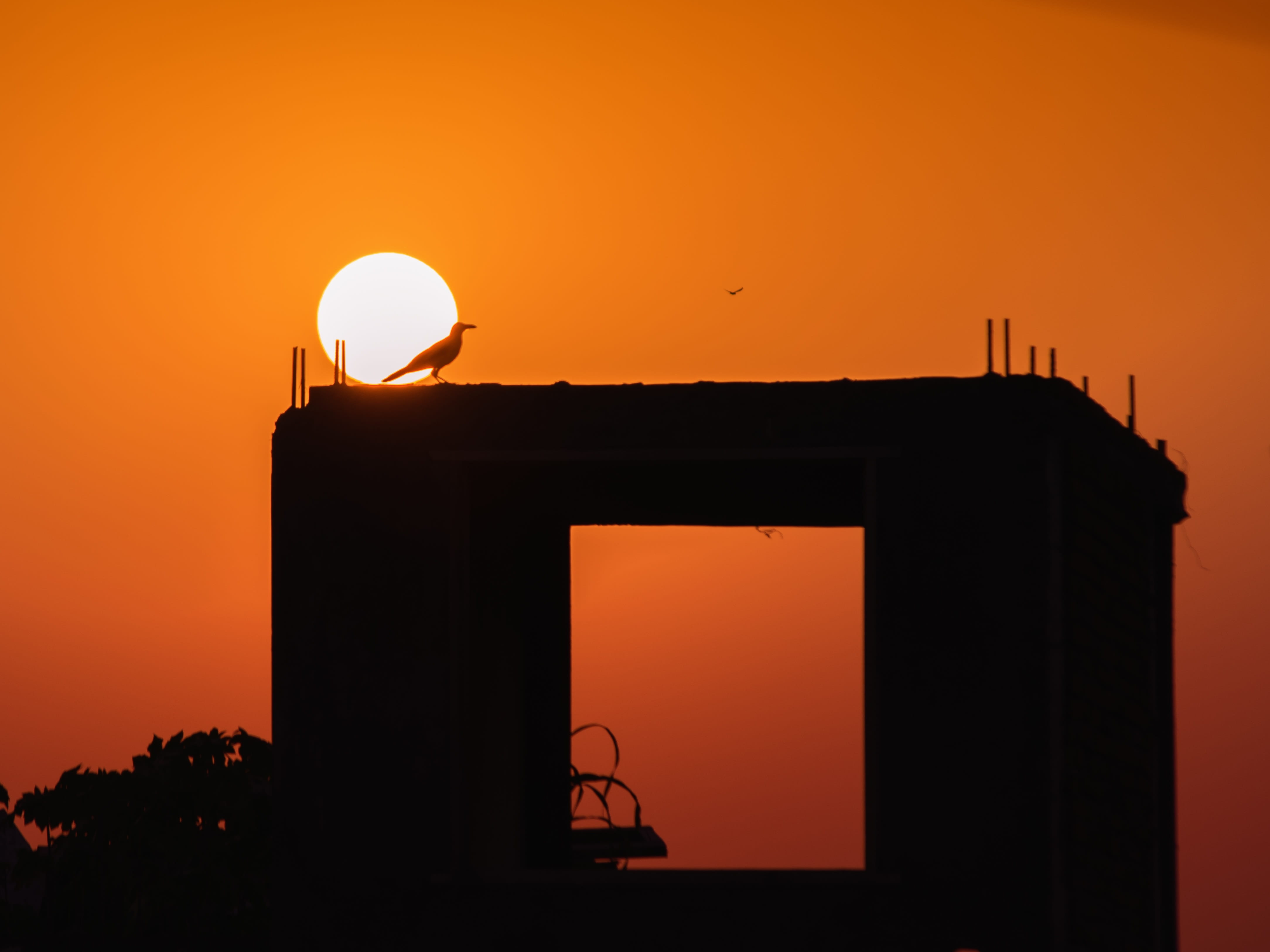 orange color, gate, skyline, transportation, no people, silhouette, red, yellow, scenics - nature, orange, sunlight, horizon, nature, copy space, color, HD Wallpaper