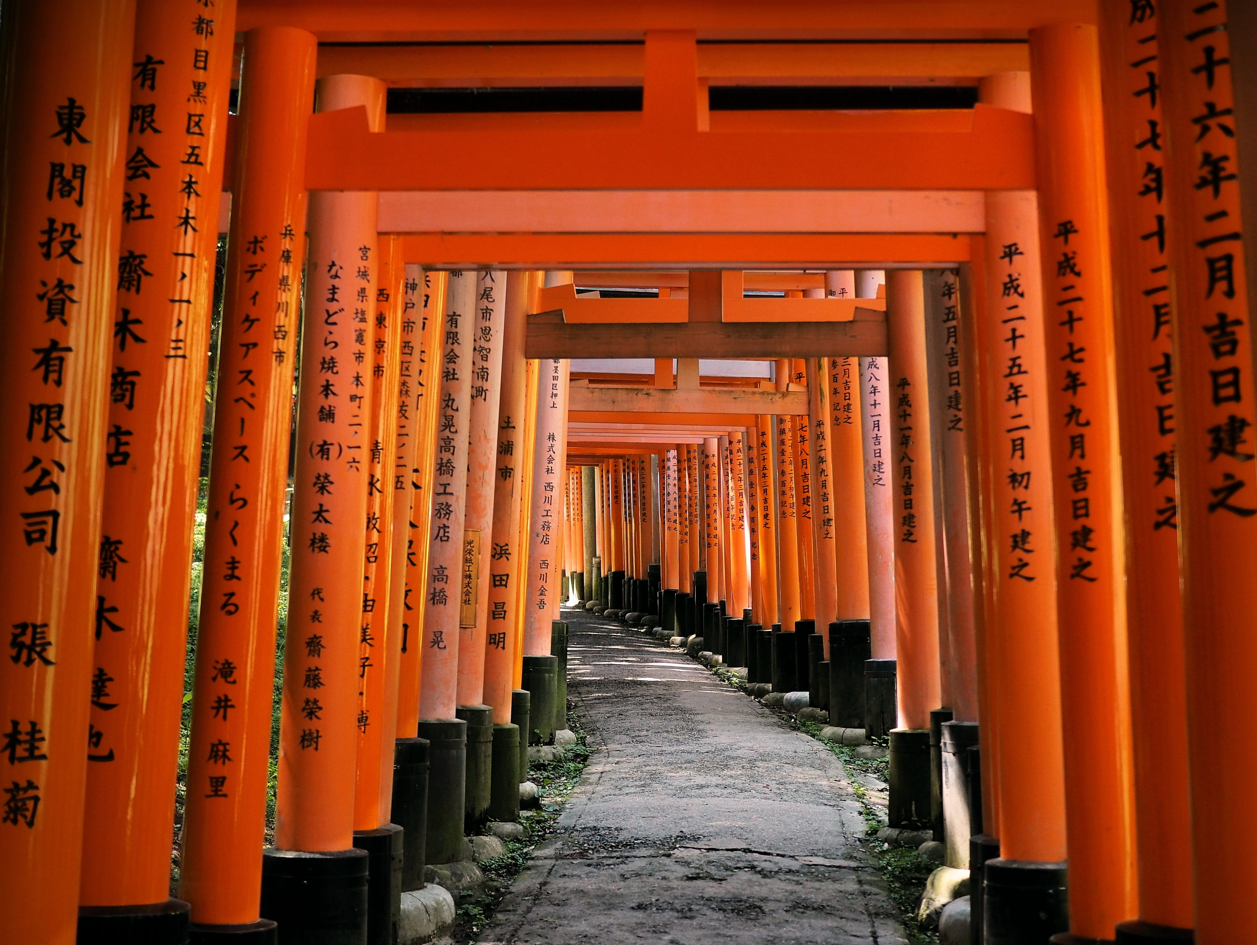 4K, architecture, diminishing perspective, spirituality, the way forward, architectural column, Shinto, no people, shrine, religion, Temple, script, place of worship, HD Wallpaper