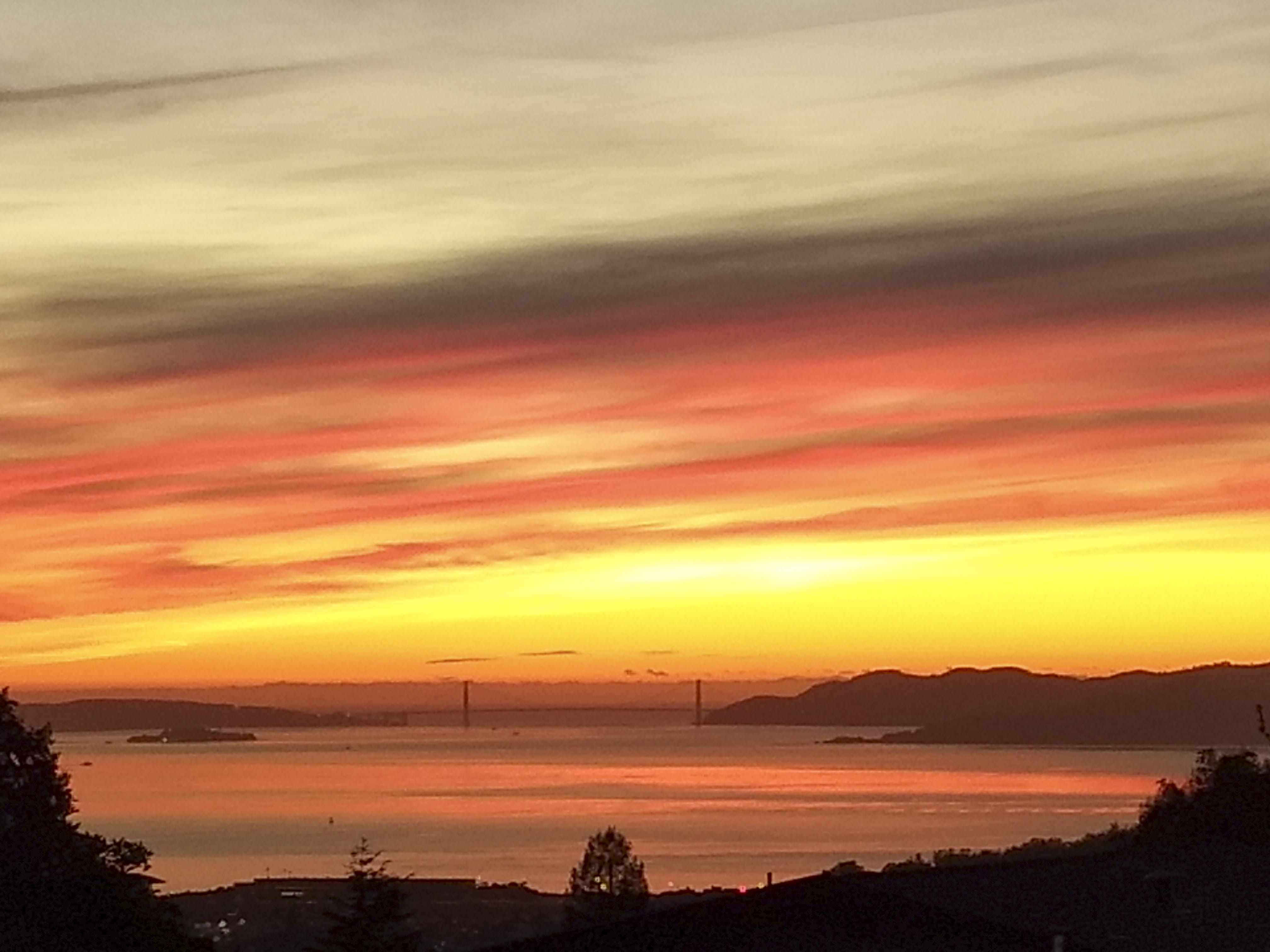 winter, yellow, san francisco, golden gate bridge, cloud - sky, nature, idyllic, sunset, tree, no people, mountain, berkeley, outdoors, sky, tranquility, HD Wallpaper