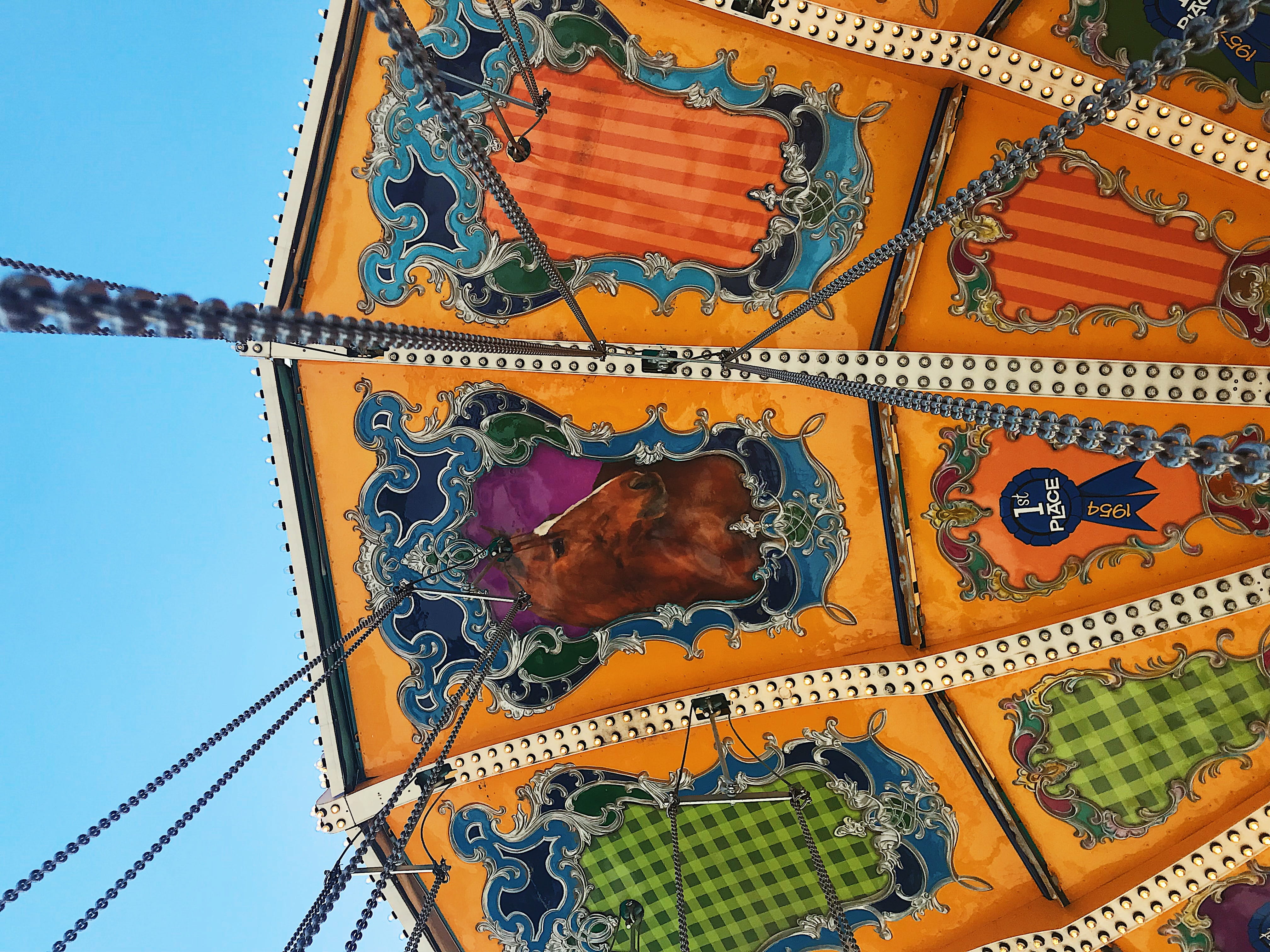amusement park, art and craft, built structure, gate, animal representation, blue, nature, looking up, building, architecture, 4K, outdoors, carousel, HD Wallpaper