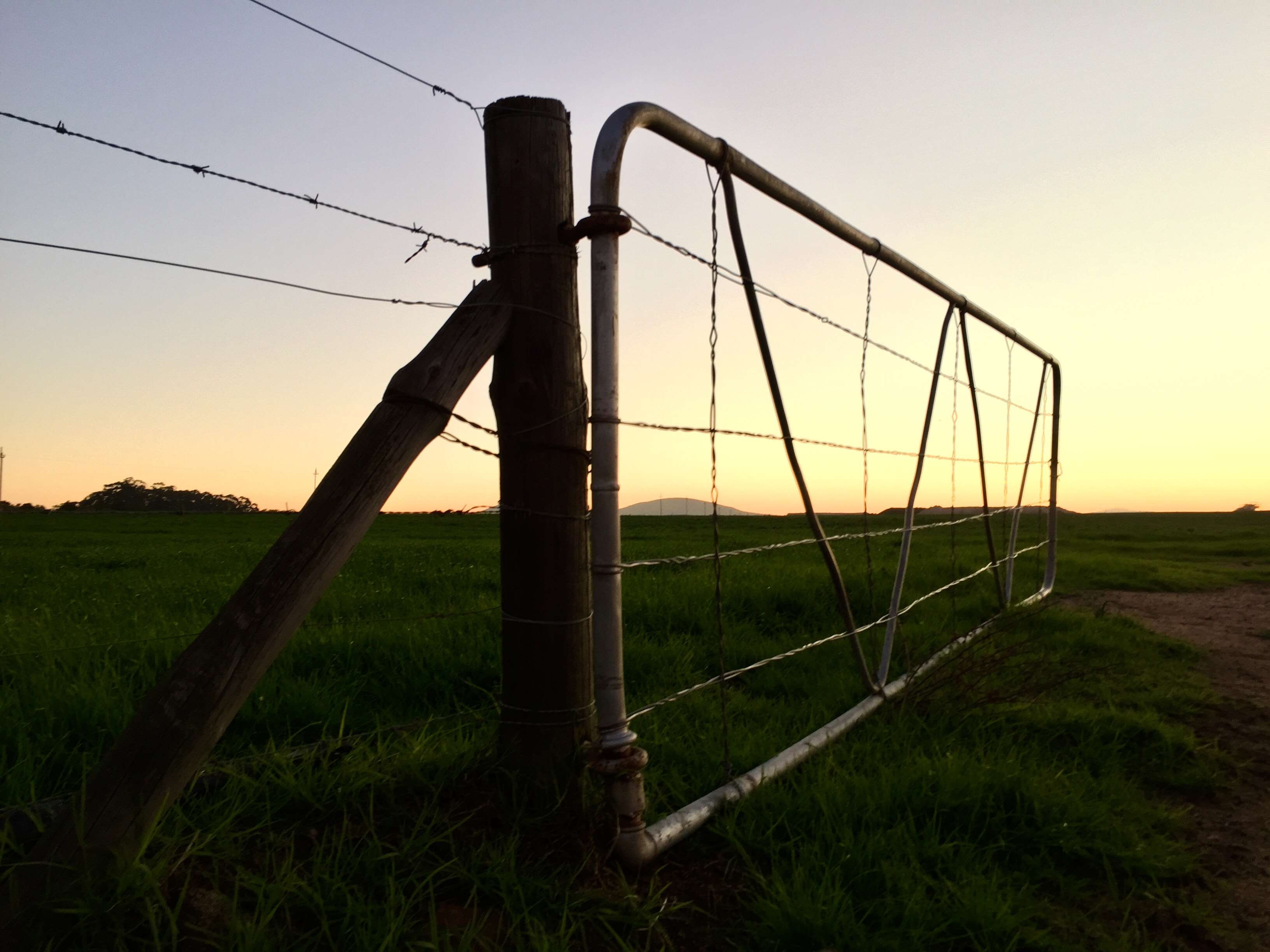 grass, power supply, field, gate, agriculture, plant, nature, wire fence, barrier, green grass, protection, orange sky, 2K, environment, sunset, metal, HD Wallpaper
