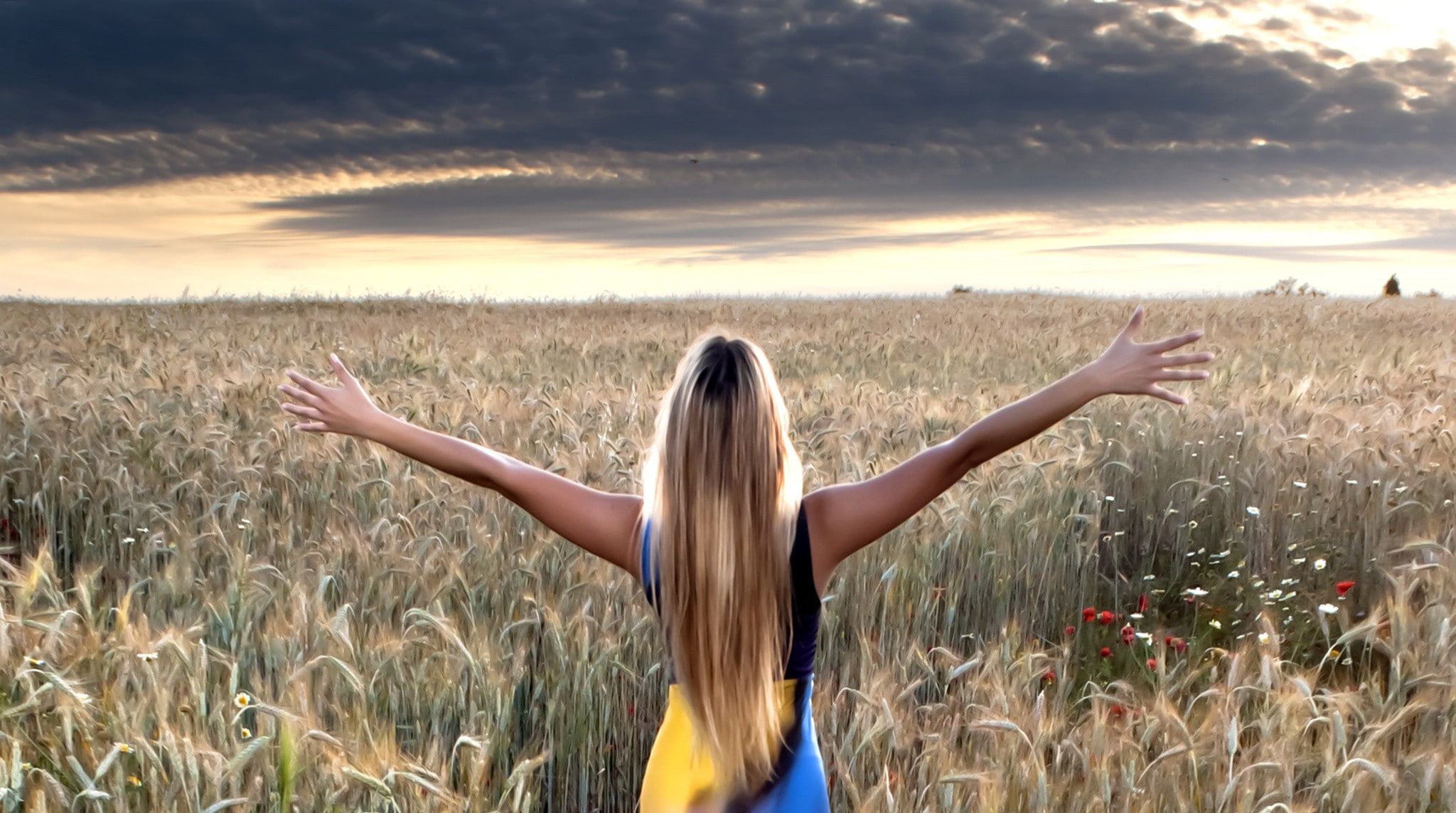 s, plants, long, blonde, field, nature, back, women, hair, 1080P, HD Wallpaper