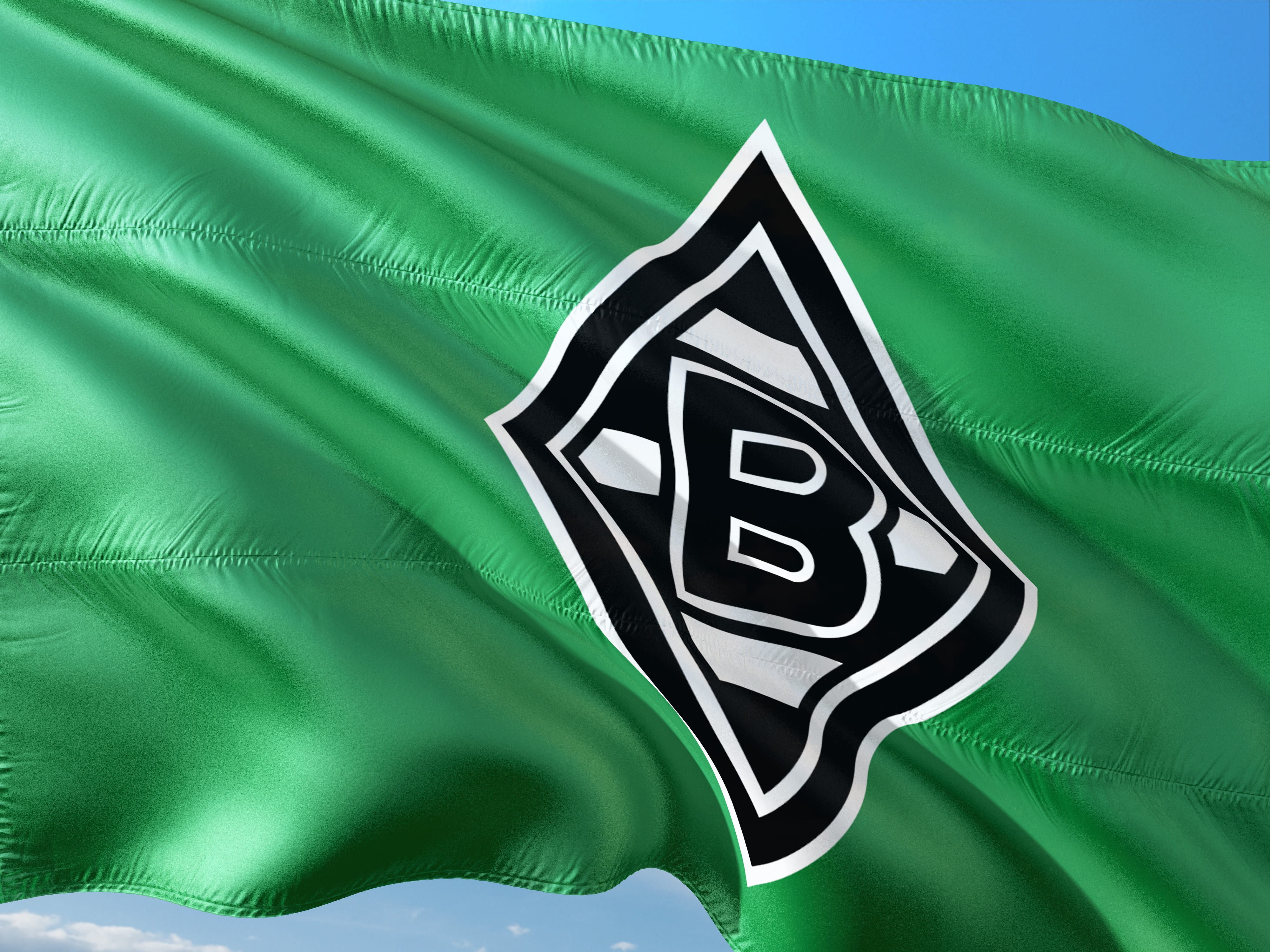 no people, plant part, backgrounds, leaf, bundesliga, borrussia mönchengladbach, textile, environment, symbol, patriotism, abstract, day, outdoors, pattern, HD Wallpaper
