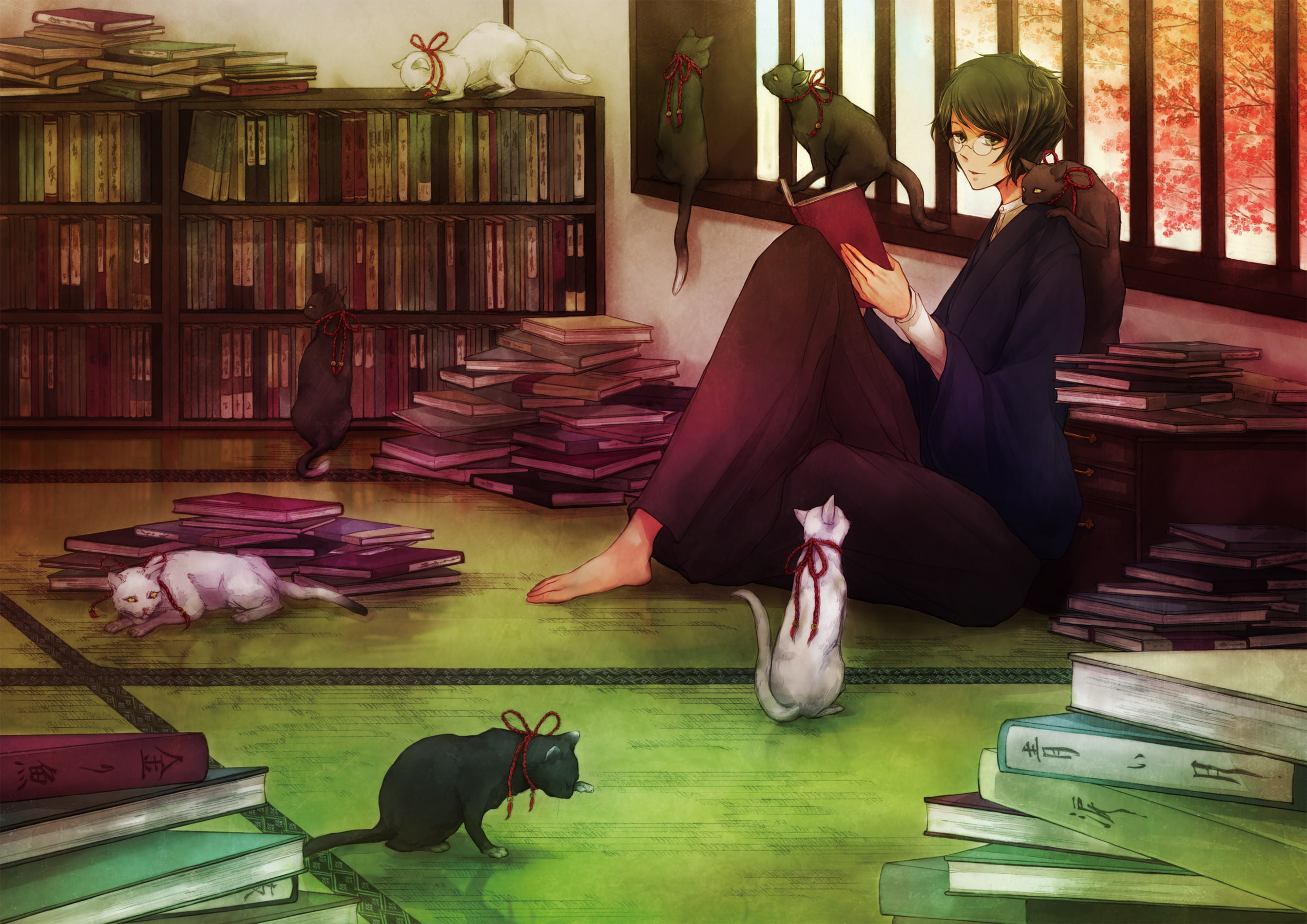 book, glasses, green, eyes, cat, 1080P, japanese, ribbons, clothes, male, original, black, animal, hair, HD Wallpaper