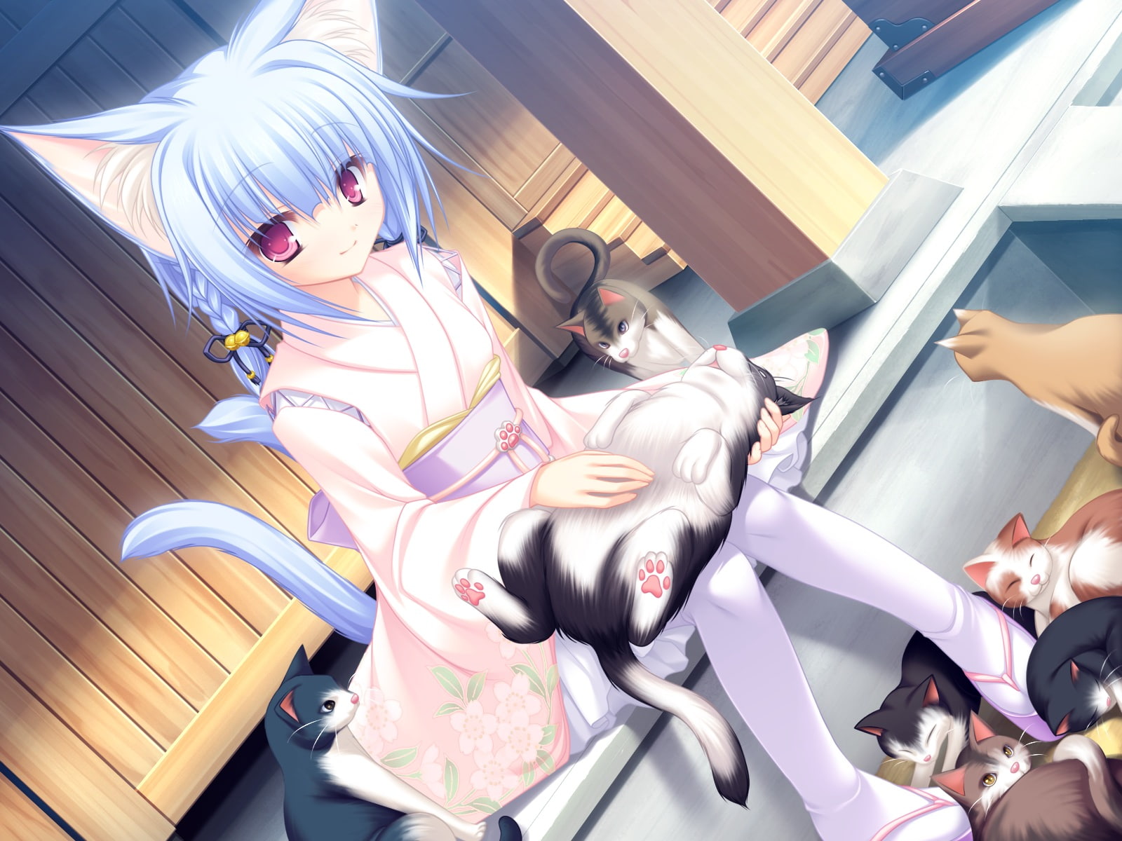 720P, ears, japanese, tails, clothes, catgirl, cat, hina, multiple, kiryuu, koi, neko, animal, tail, HD Wallpaper