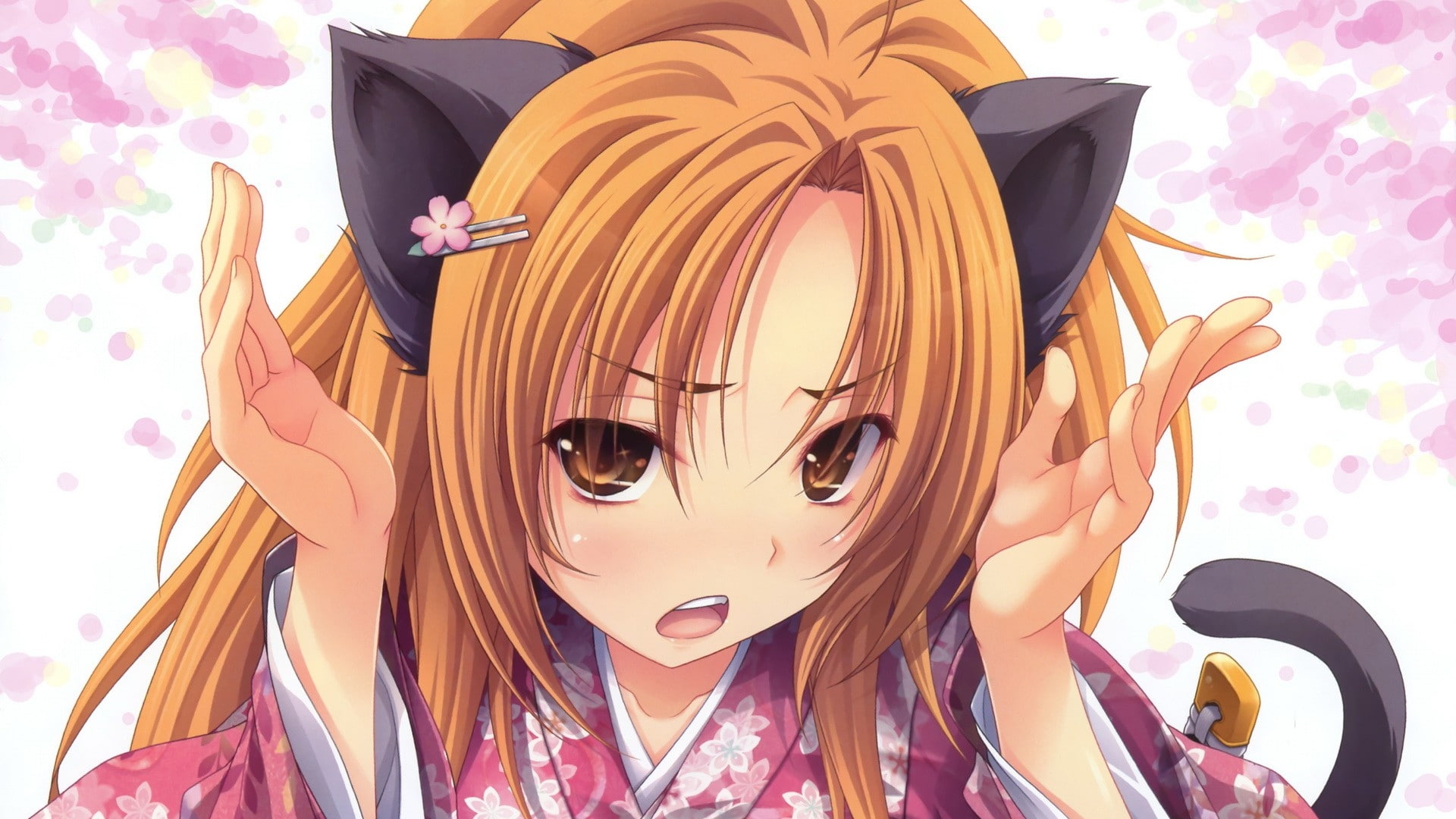 art, ears, brown, nekomimi, mouth, eyes, kimono, miyama, 1080P, clo, animals, animal, zero, tails, cats, hair, brunettes, hd, japanese, long, open, HD Wallpaper