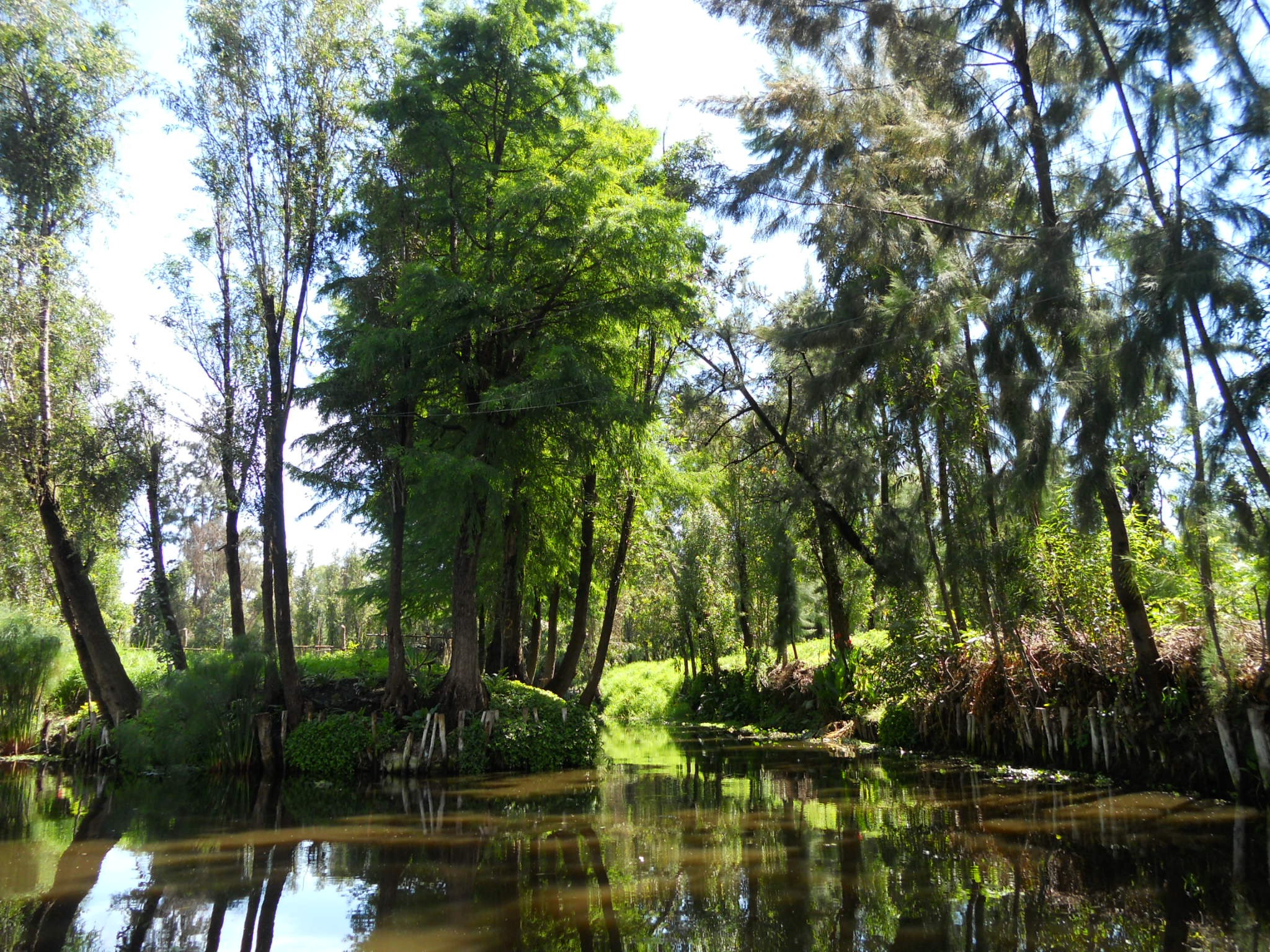 land, reflection, trees, outdoors, nature, channel, growth, river, day, lake, tranquility, 1080P, plant, sky, green color, beauty in nature, relax, forest, HD Wallpaper