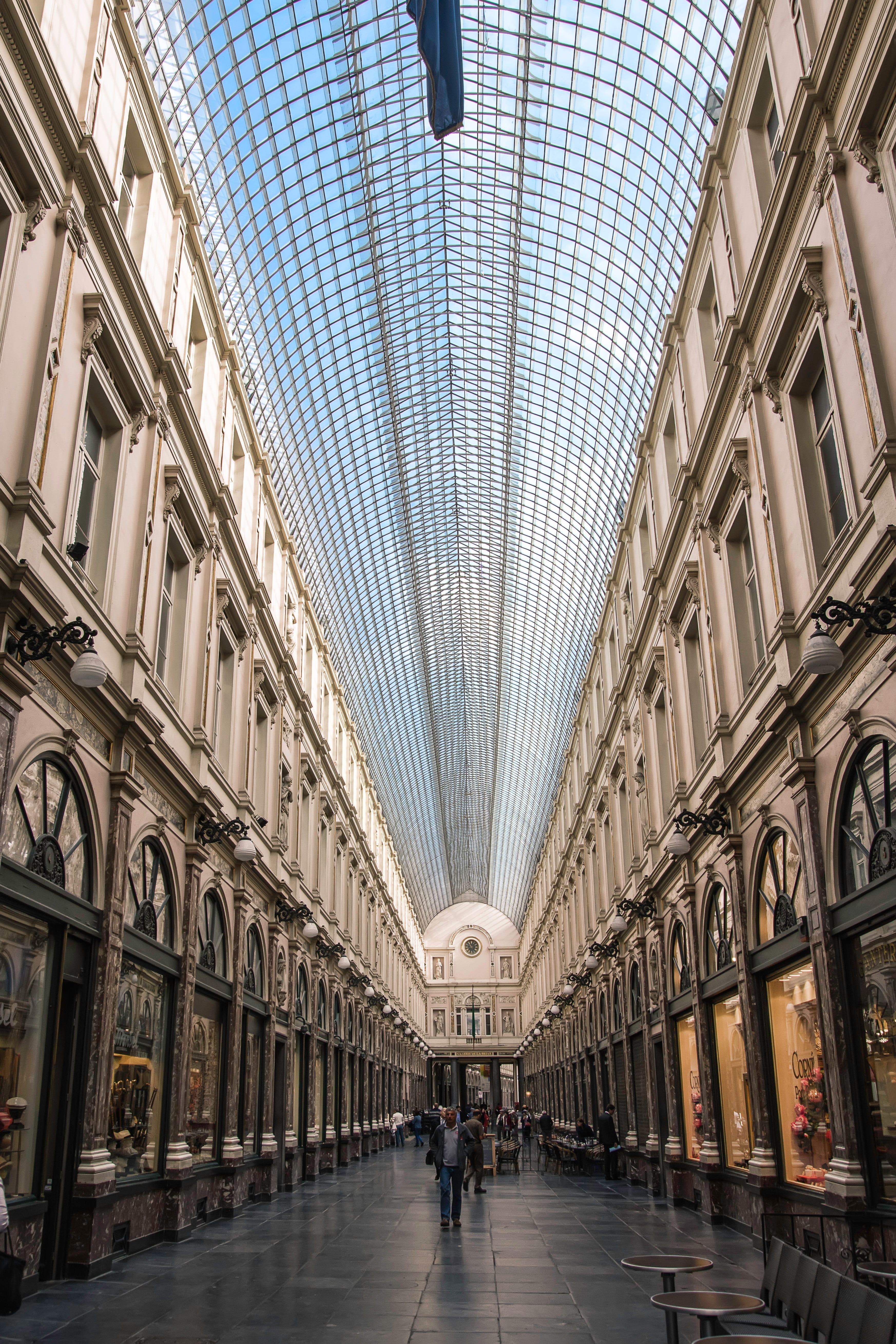 arch, indoors, building, the way forward, architecture, ceiling, tourism, walking, the past, day, ornate, pathway, direction, incidental people, built structure, Phone HD Wallpaper