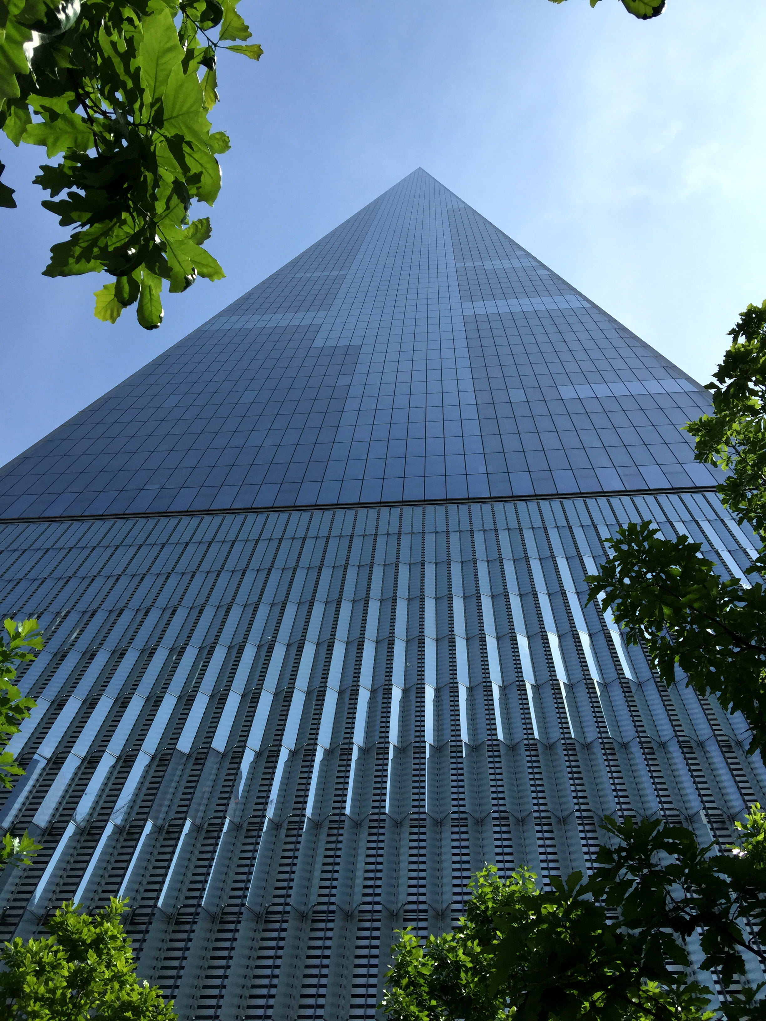 office building exterior, building exterior, worldtradecenter, 2K, office, buildi, no people, low angle view, tree, nature, sky, architecture, day, leaf, Phone HD Wallpaper