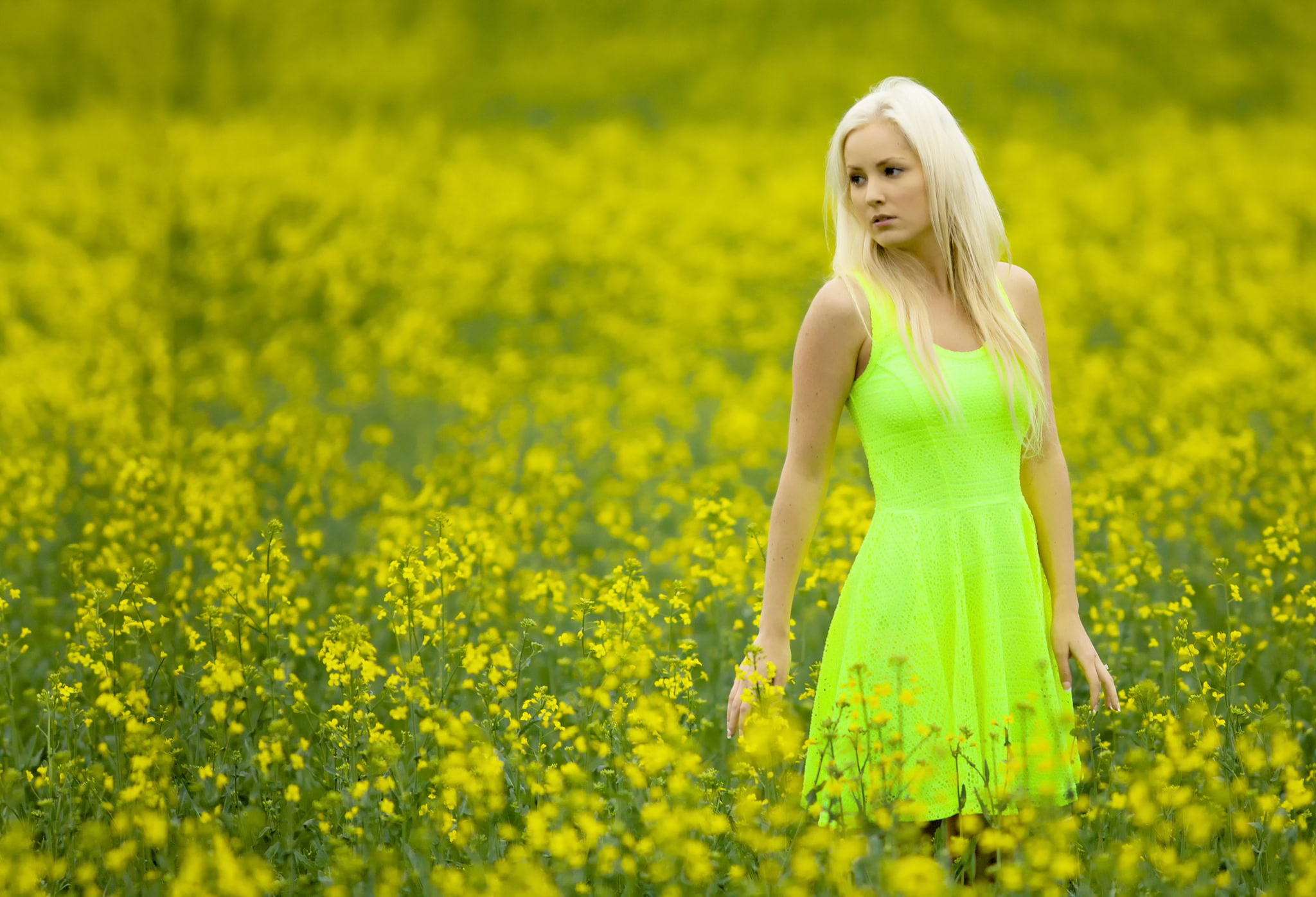 color, girl, dress, field, 1080P, Cathy, HD Wallpaper
