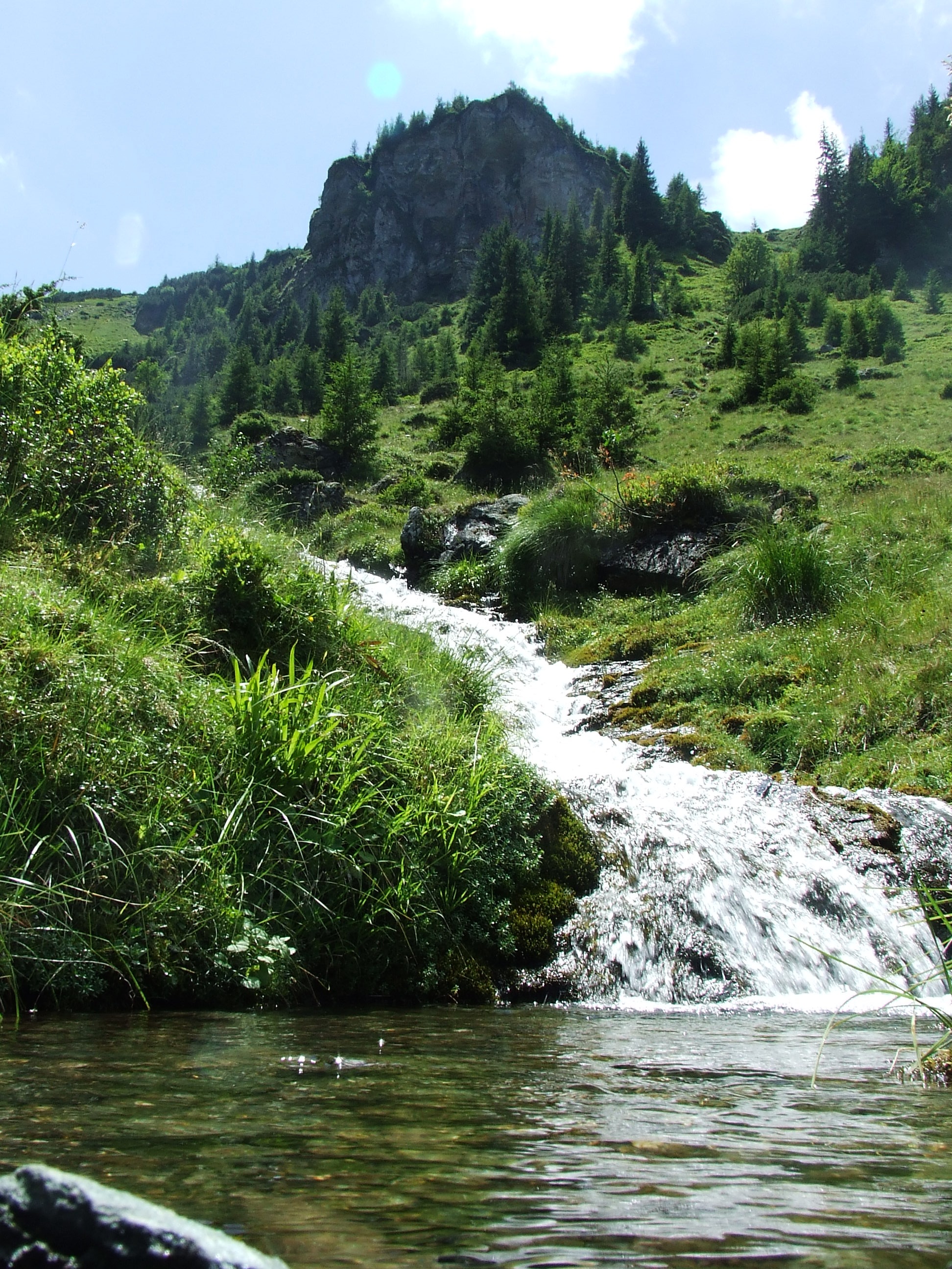 tranquility, beauty in nature, motion, day, flowing water, scenics - nature, summer, plant, karst, green color, cathy r mountains, landscape, 2K, waterfront, Phone HD Wallpaper