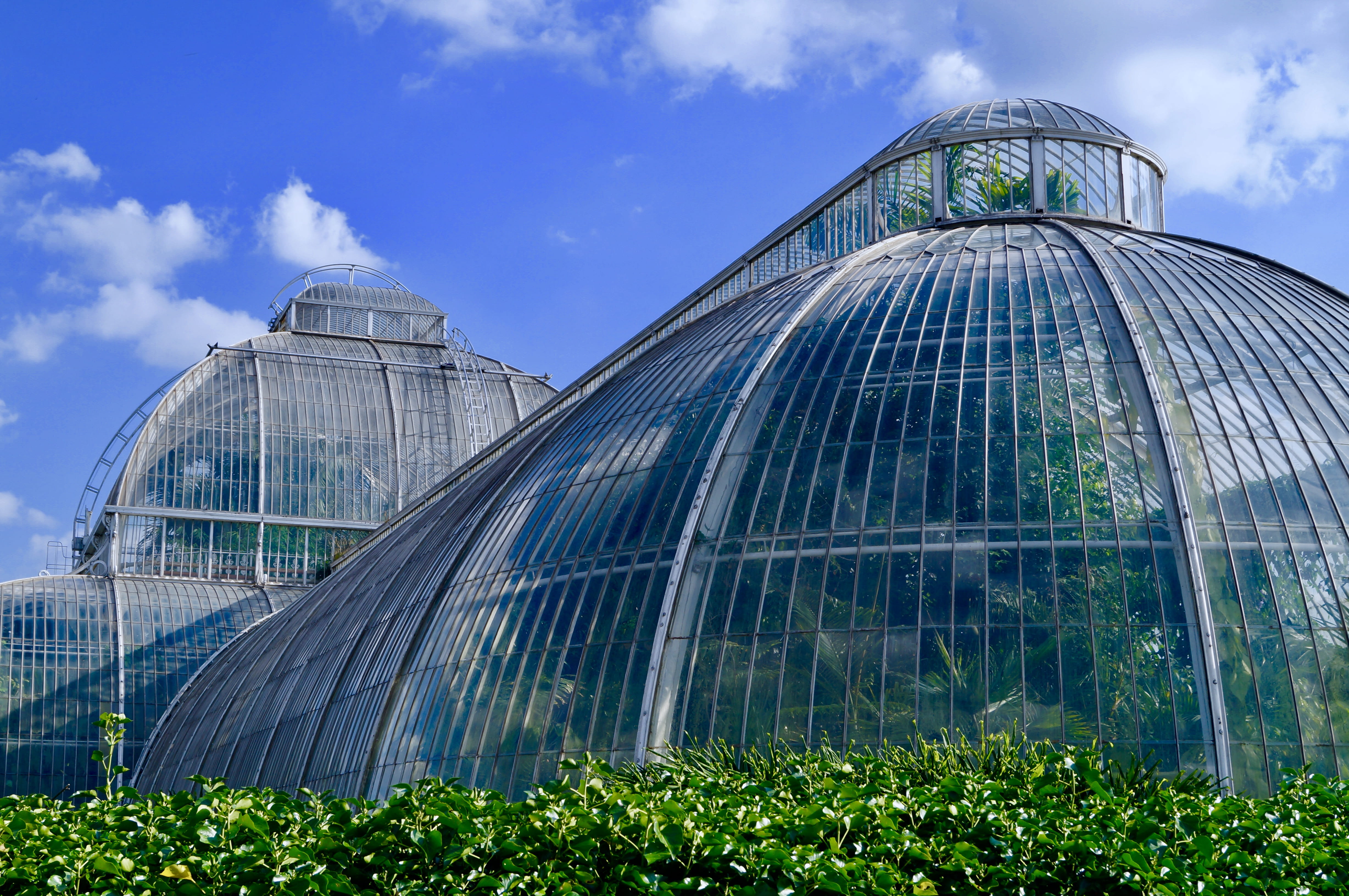 growth, building, plant nursery, conservation, glass - material, gardens, plants, cloud - sky, built structure, glass, modern, 4K, day, nature, architecture, HD Wallpaper