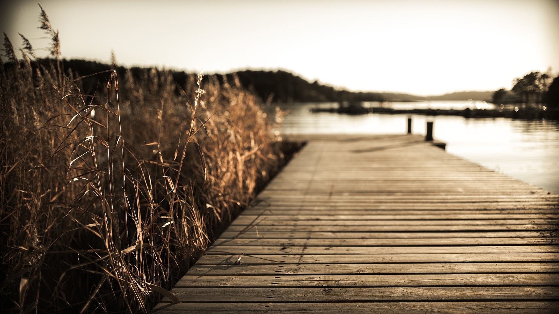 dock, water, pier, nature, 1080P, HD Wallpaper