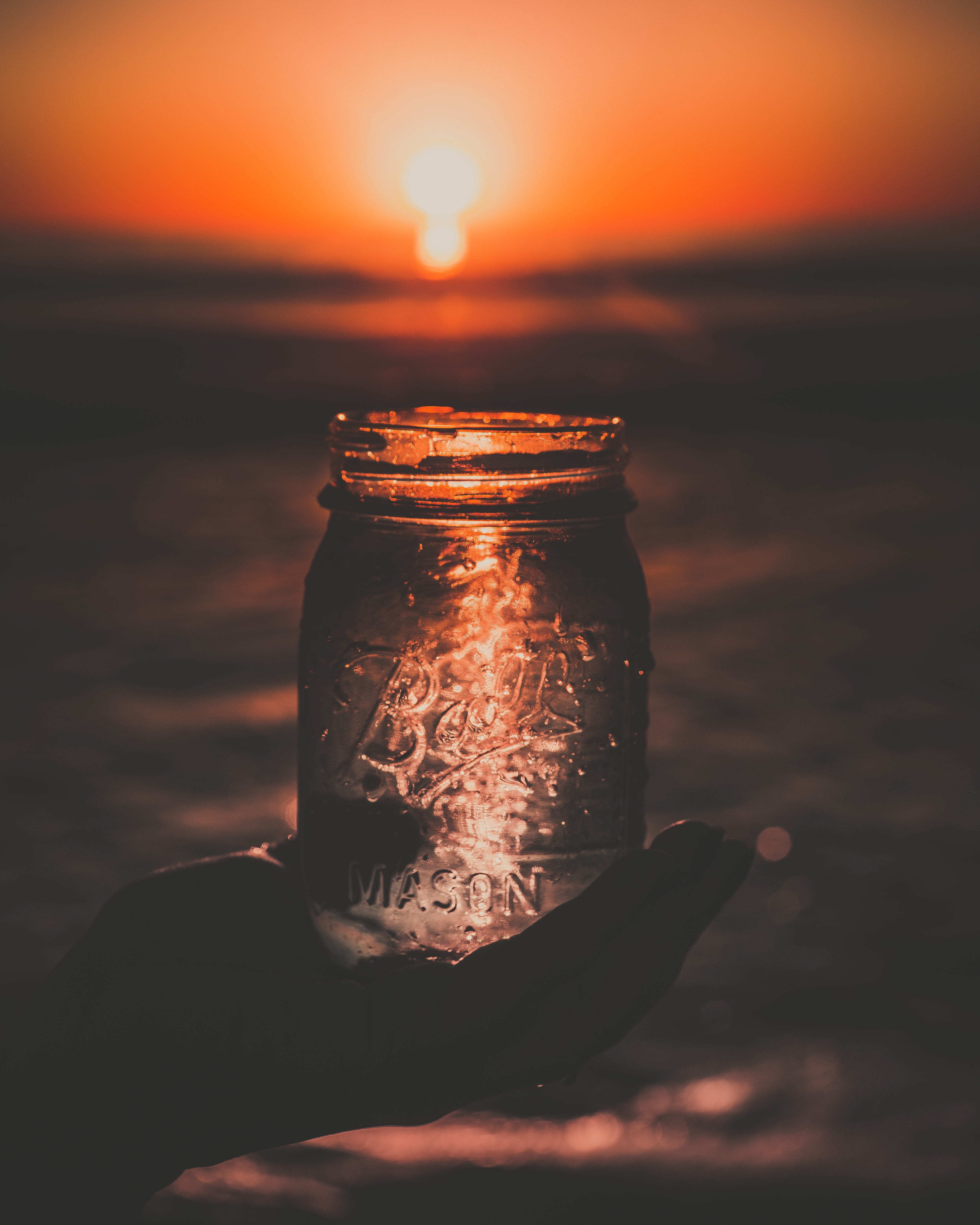 real people, human, nature, money, clear, sunset, transparent, human body part, focus on foreground, land, bee, jar, sun, wasp, finger, holding, sky, animal, Phone HD Wallpaper
