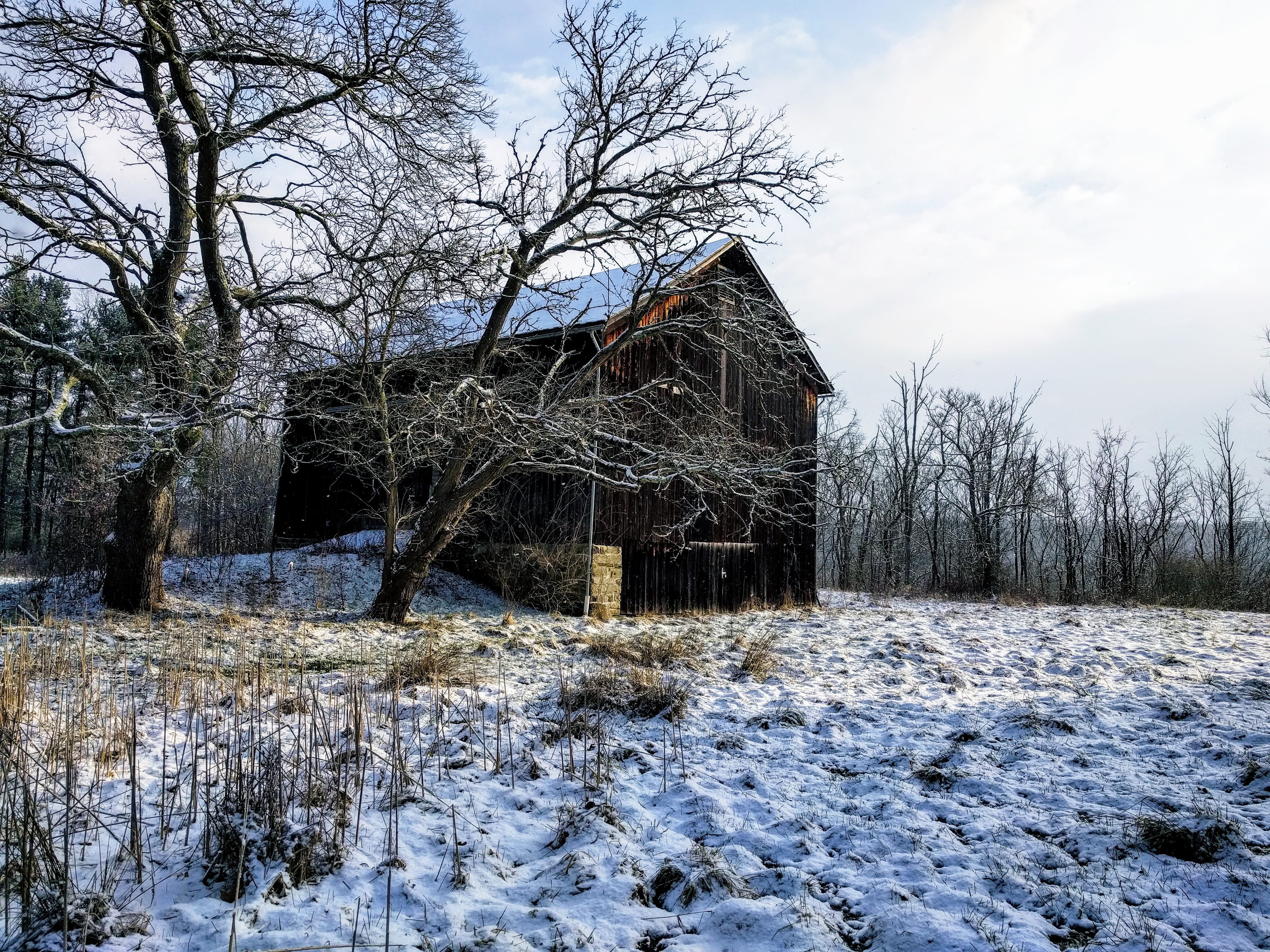 plant, landscape, cabin, snow, united states, bare tree, winter, building, cuyahoga valley national park, cottage, 4K, nature, building exterior, outdoors, HD Wallpaper