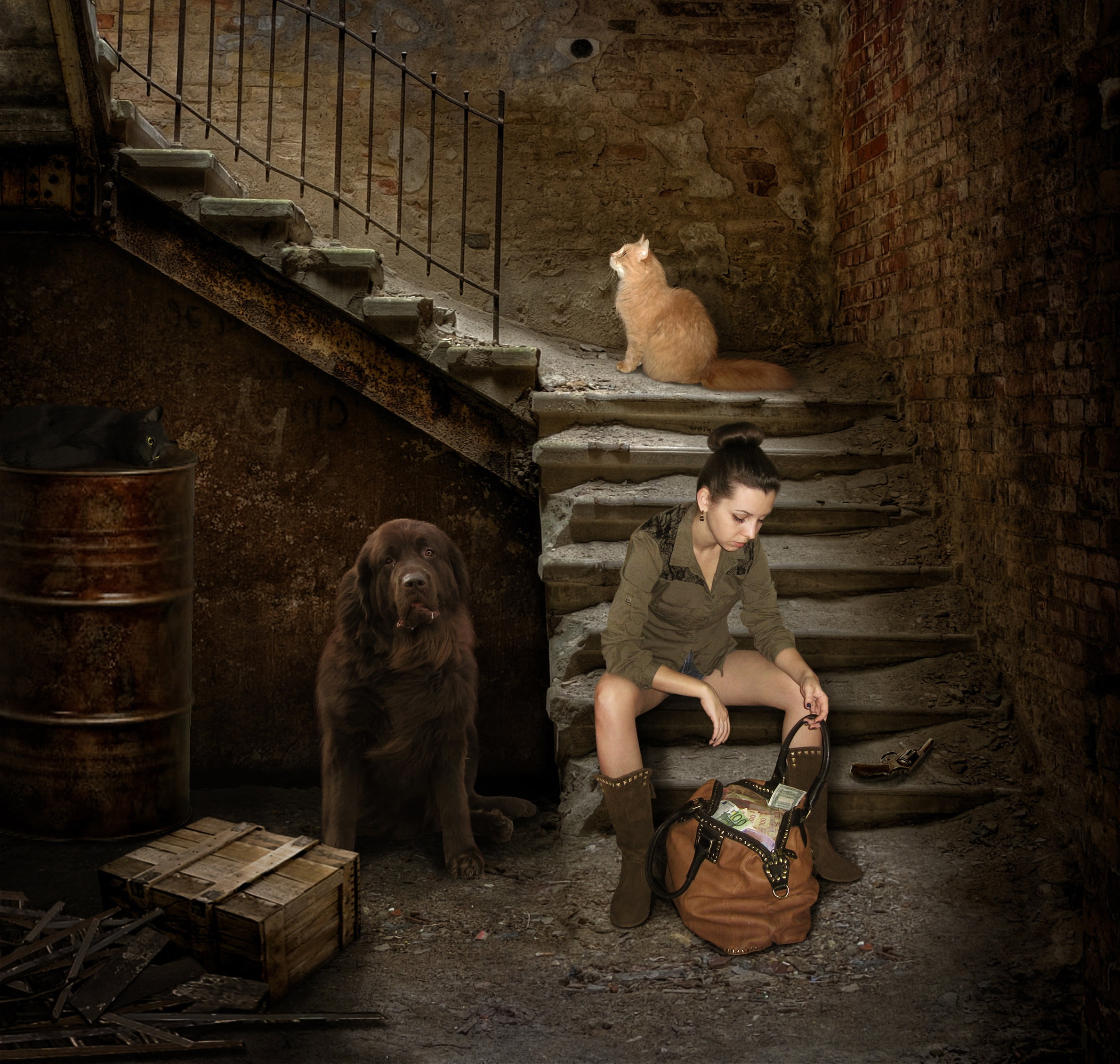 domestic animals, red, mammal, black, brick, domestic, one animal, full length, dog, architecture, wall, casual clothing, plaster, people, men, box, house, HD Wallpaper