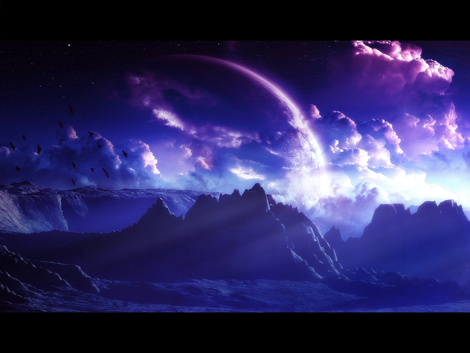 dilekt, nature, purple, forests, 720P, anymore, art, hope, hd, blue, HD Wallpaper