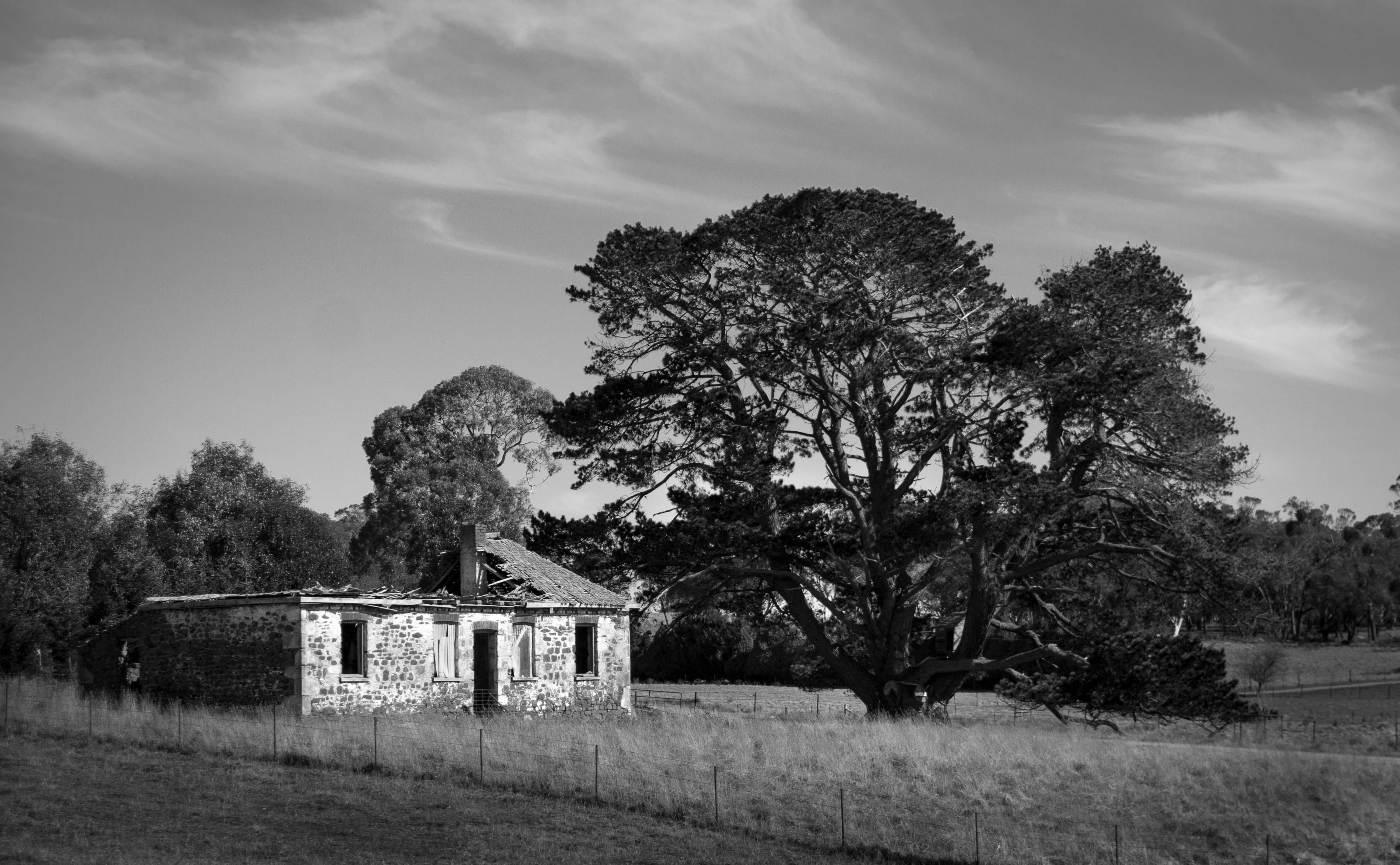 day, tree, crookedcorner, cloud - sky, grass, land, upperlachlan, Black and White, outdoors, house, Corner, building exterior, anymore, sky, 4K, crooked, HD Wallpaper