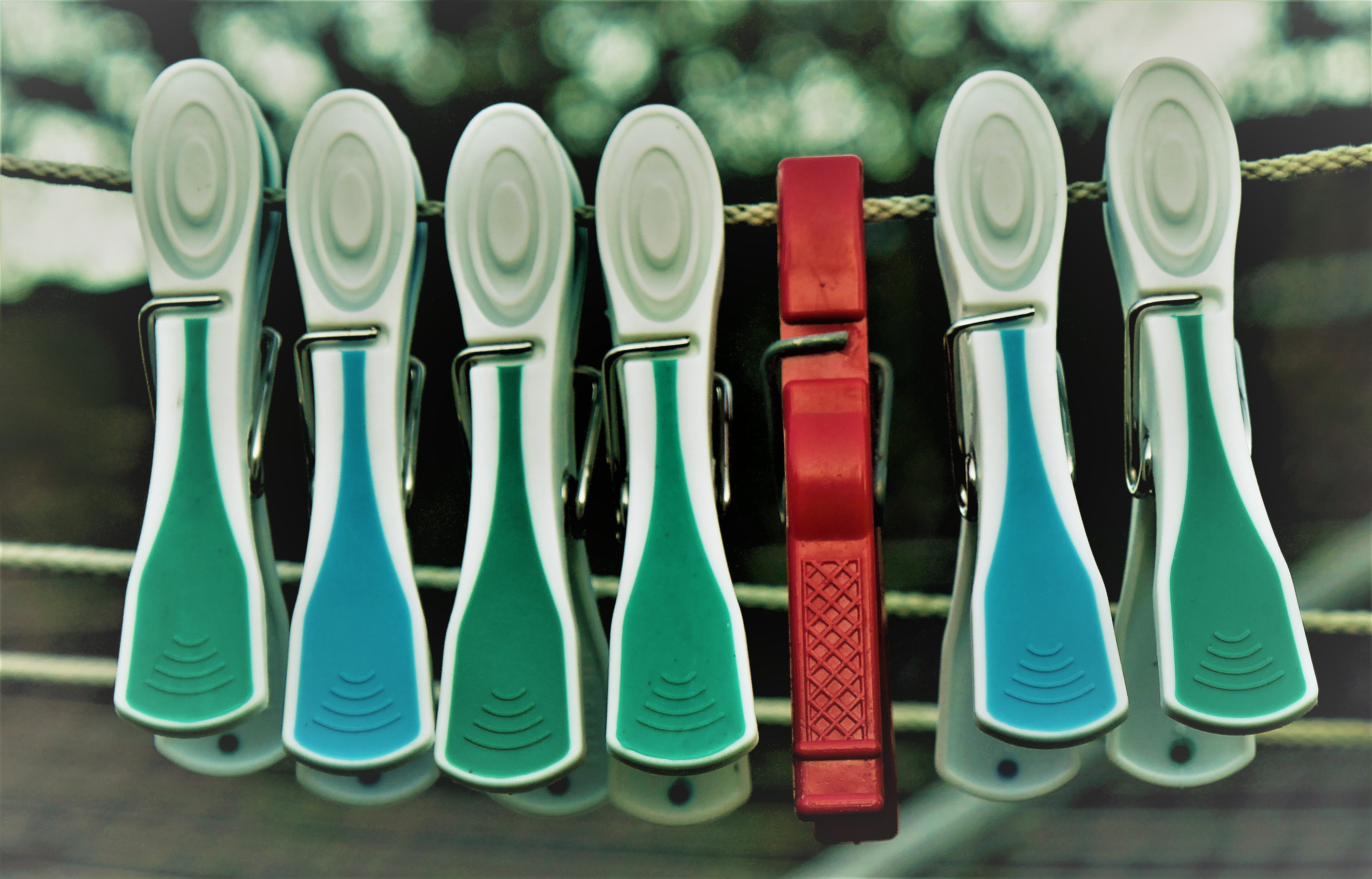 clamp, red, group of objects, side by side, fix, jam, out, housewife, dry, retail, laundry, large group of objects, choice, plastic, arrangement, blue, HD Wallpaper