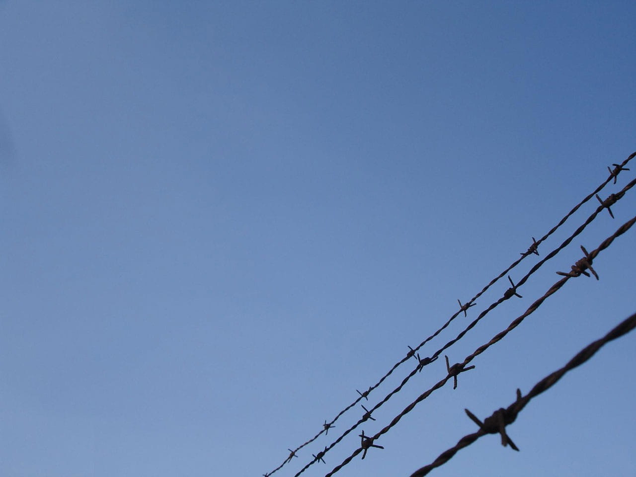 720P, outdoors, nature, connection, blue, barbed, area, telephone line, restrict, attention, communication, safety, caution, warning, exceed, barrier, HD Wallpaper