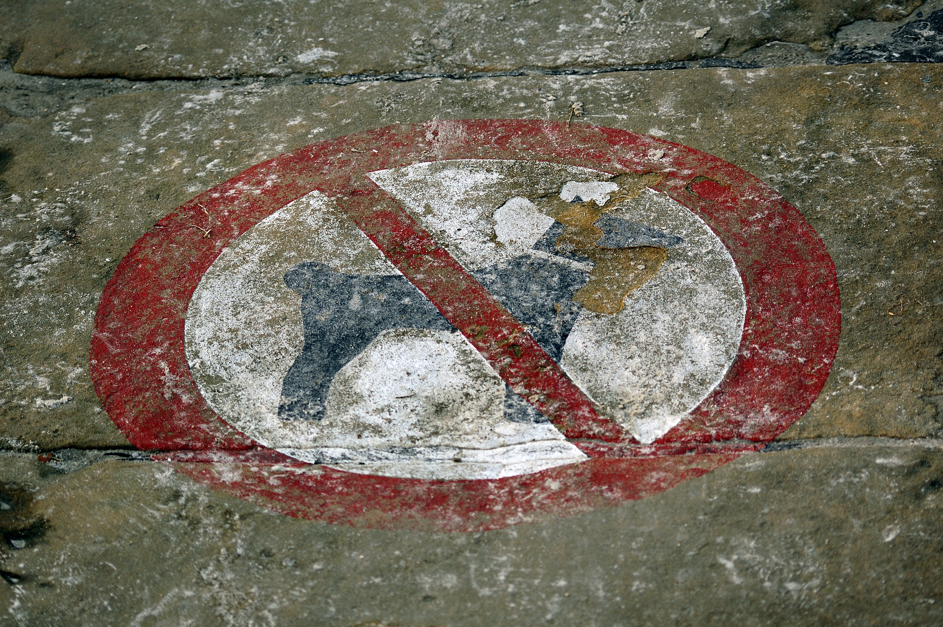 built structure, information sign, dog ban, no people, shape, close-up, red, circle, road, communication, dogs, geometric shape, guidance, number, day, HD Wallpaper
