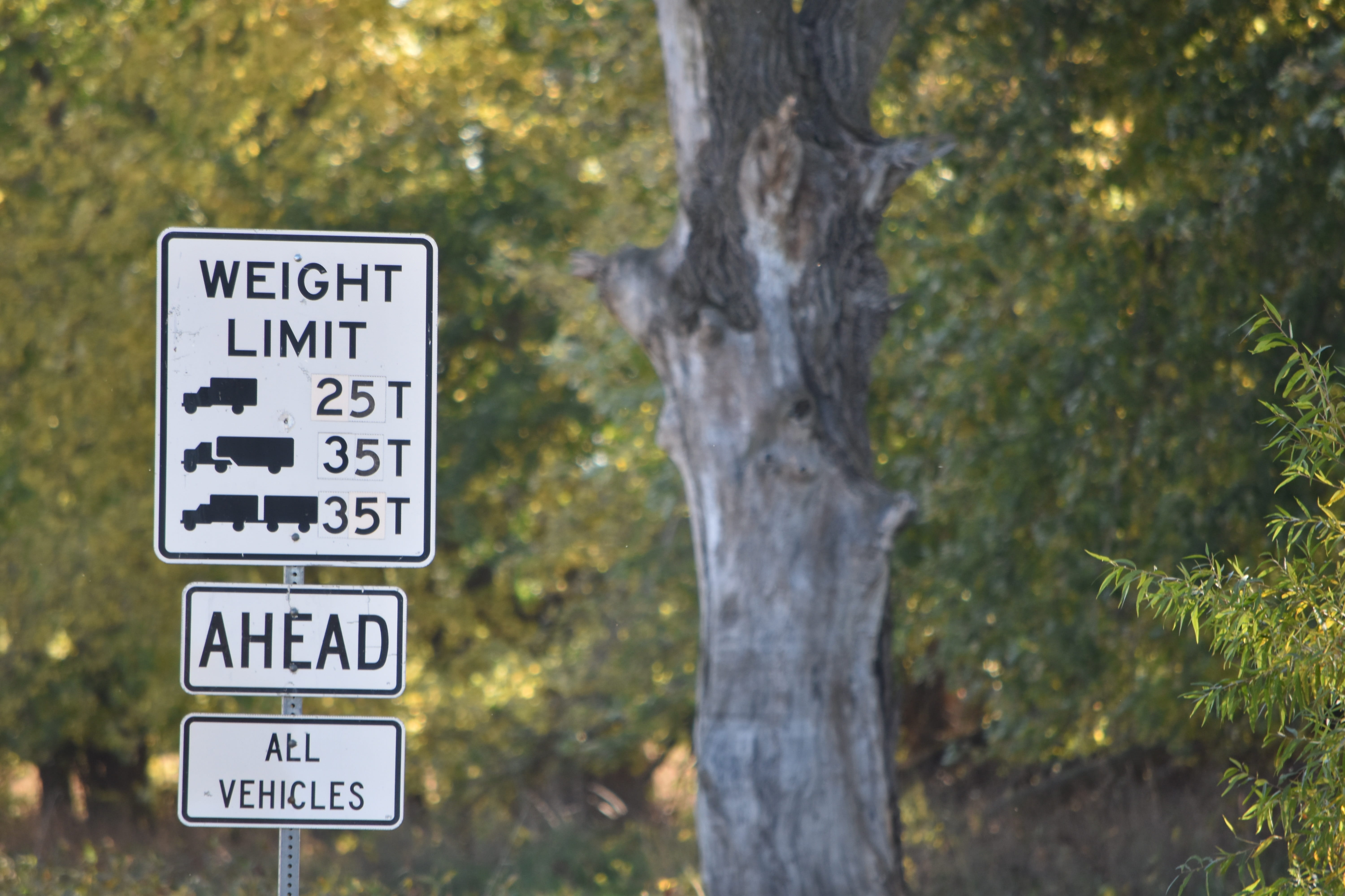symbol, focus on foreground, text, nature, transportation, Restriction, directional sign, Weight Limit, tree, plant, direction, 5K, trunk, information sign, HD Wallpaper