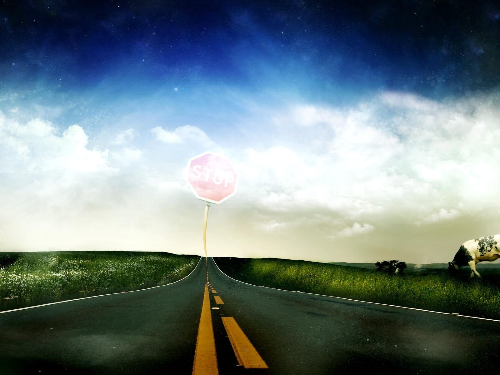 lines, road, environment, red, symbol, signage, meadow, asphalt, nature, grass, sky, no People, scenics, summer, diminishing perspective, green Color, backgrounds, HD Wallpaper