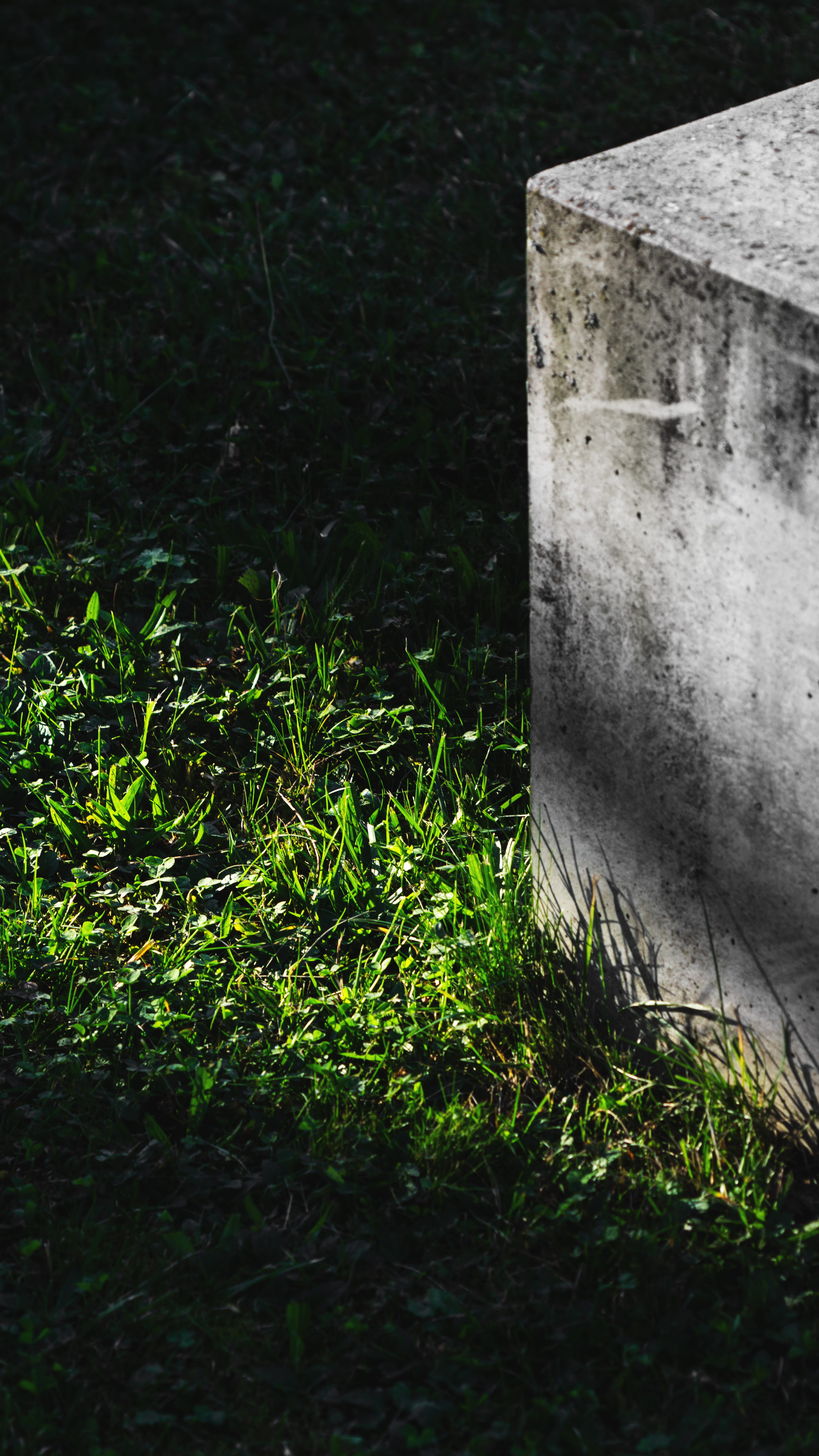 tombstone, crow, built structure, weed, stone, architecture, symbol, high angle view, sunlight, outdoors, grass, green, concrete, sewer, tranquility, tomb, Phone HD Wallpaper