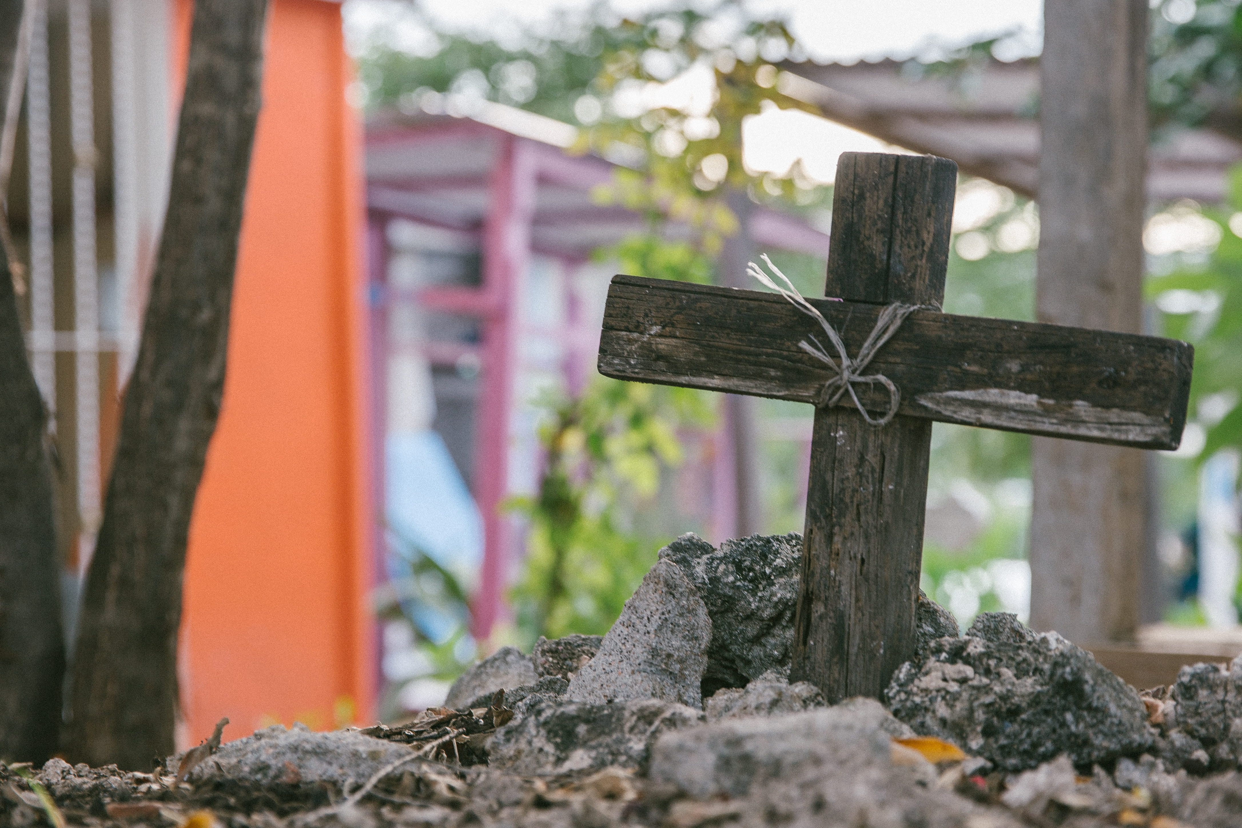 colors, nature, architecture, wooden cross, crucifix, selective focus, rubble, belief, cross, wood - material, tomb, plant, tree trunk, slate, religion, HD Wallpaper