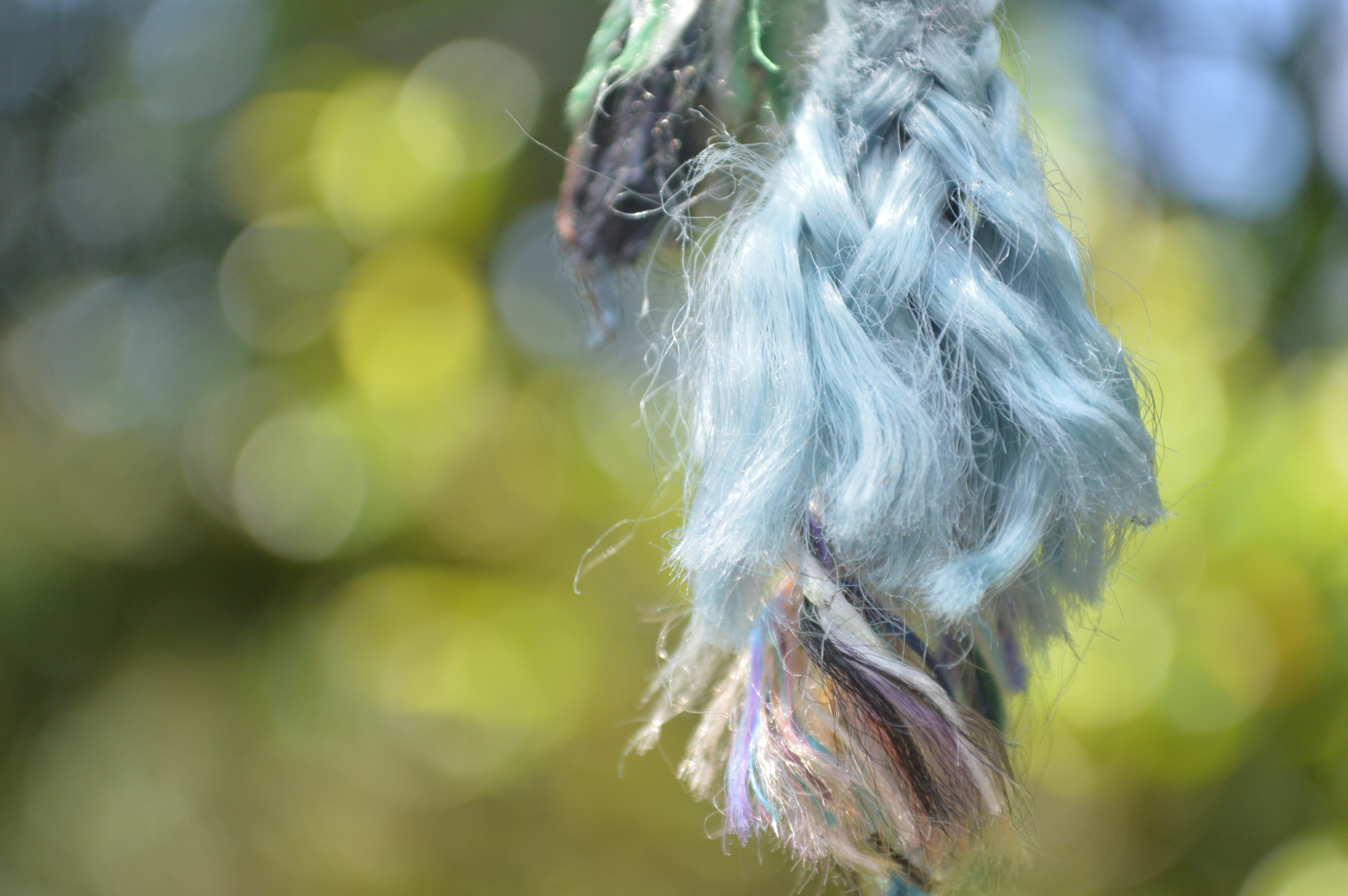 rear view, animal hair, nature, morning, upstairs, hair, plant, artificial, softness, feather, real people, colourful, single, people, women, hanging, braided, HD Wallpaper