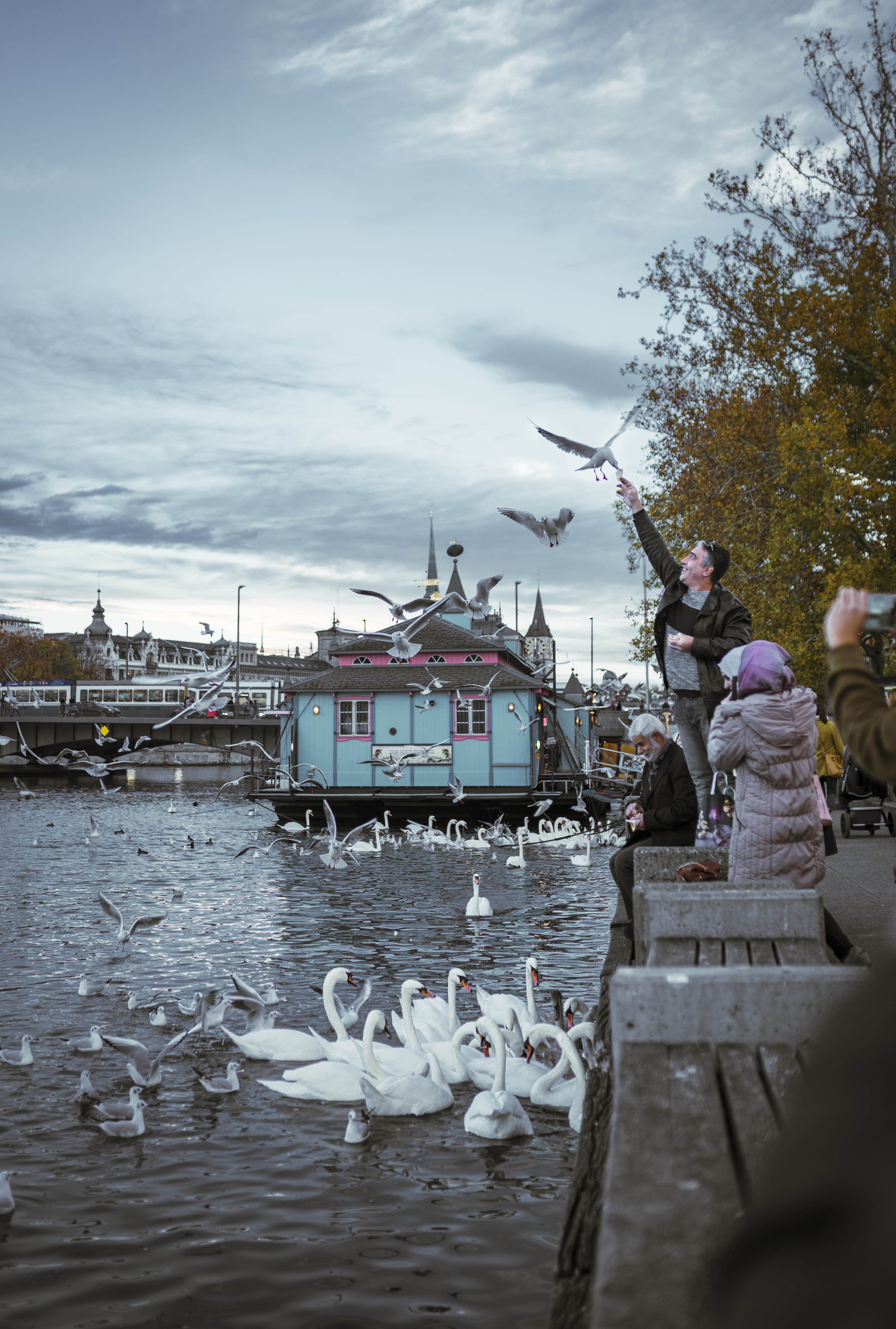 mode of transportation, nautical vessel, architecture, 5K, sky, water, animal, transportation, moment, animal themes, lake, large group of animals, flock of birds, Phone HD Wallpaper