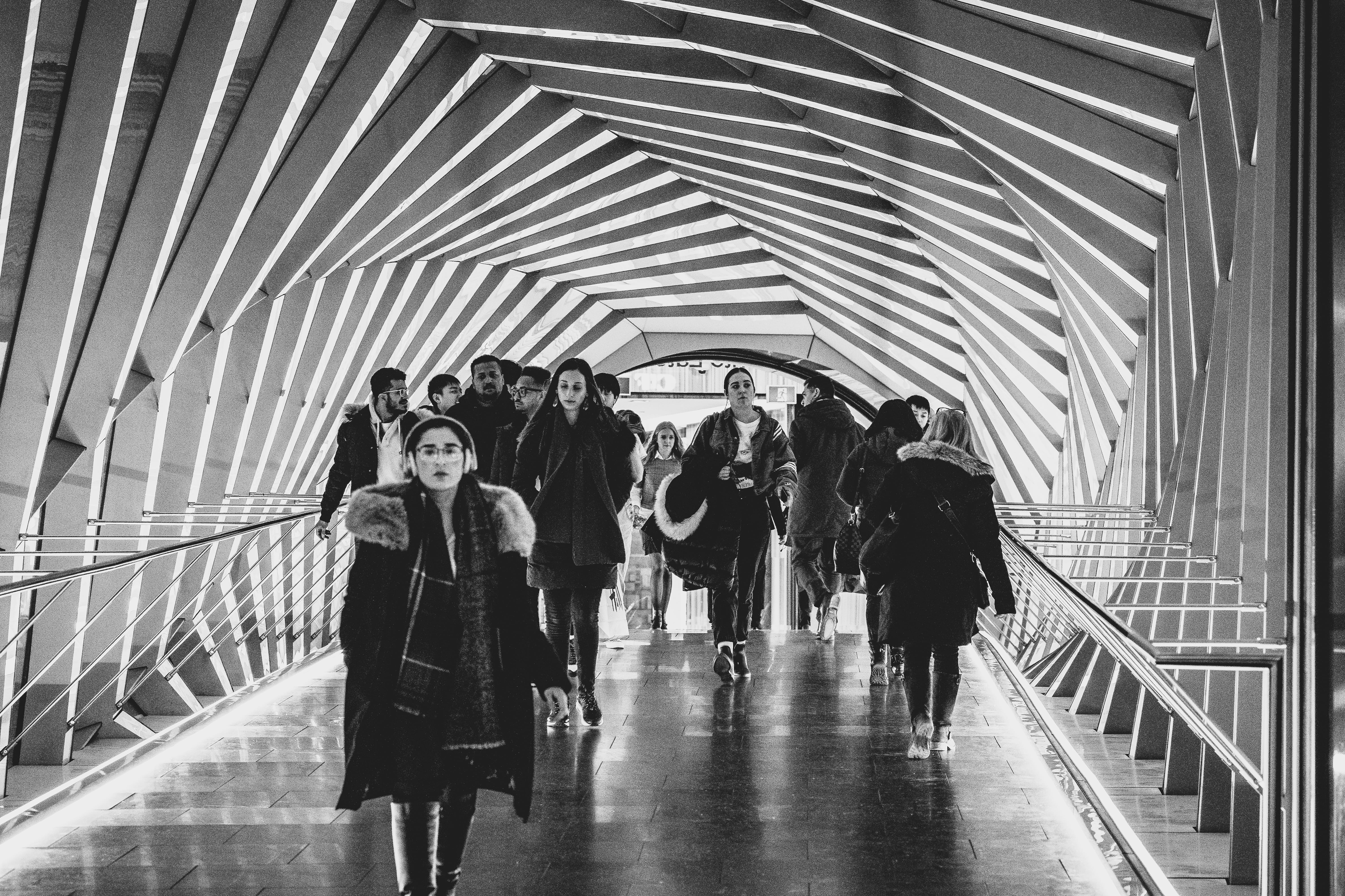 animal, casual clothing, architecture, men, pedestrian, railing, lifestyles, pants, crowd, clothing, train, built structure, overcoat, real people, banister, HD Wallpaper