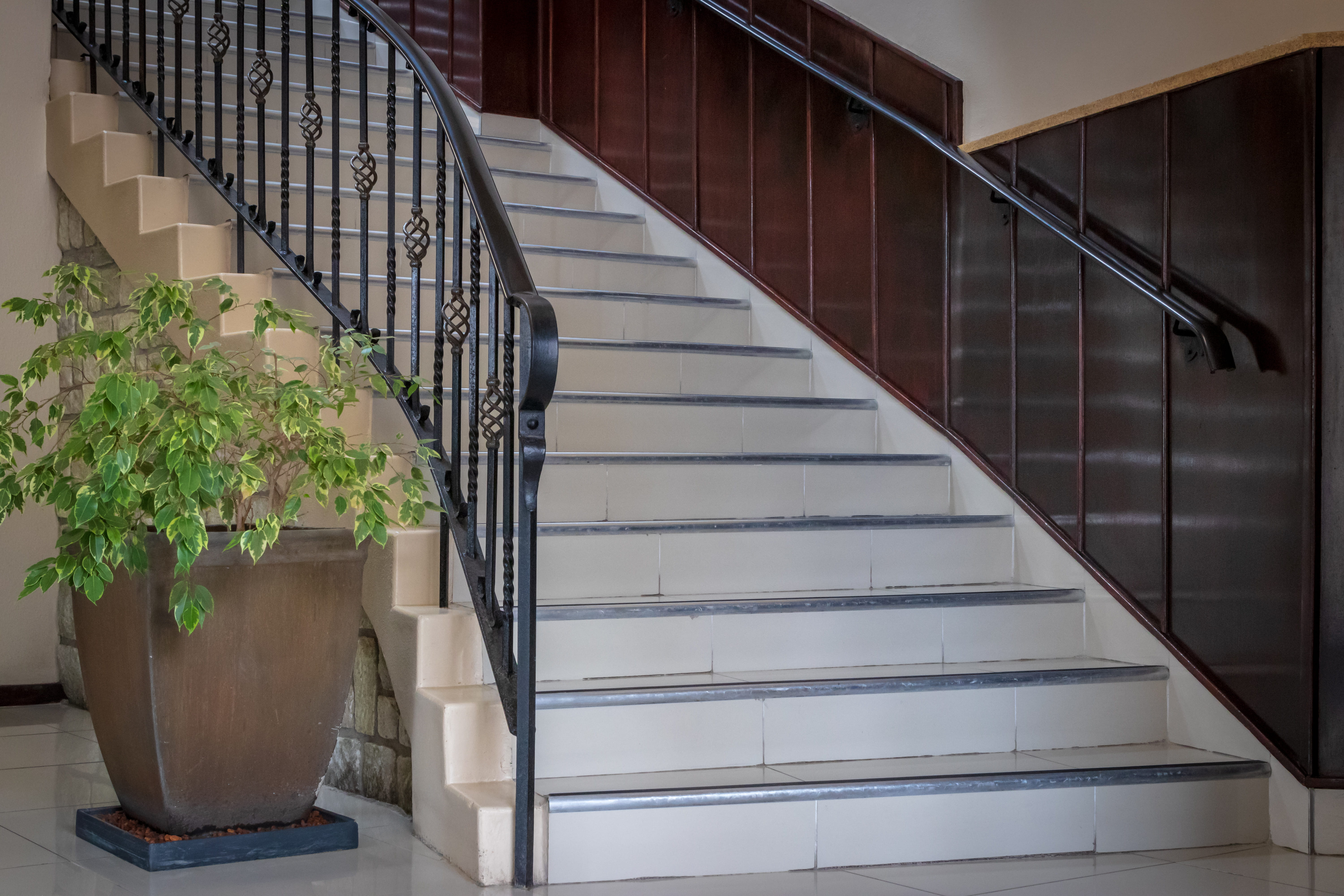 plant, steps and staircases, staircase, pot, indoors, tile, room, tree, sunlight, vegetable, built structure, high angle view, building, railing, hardwood, HD Wallpaper