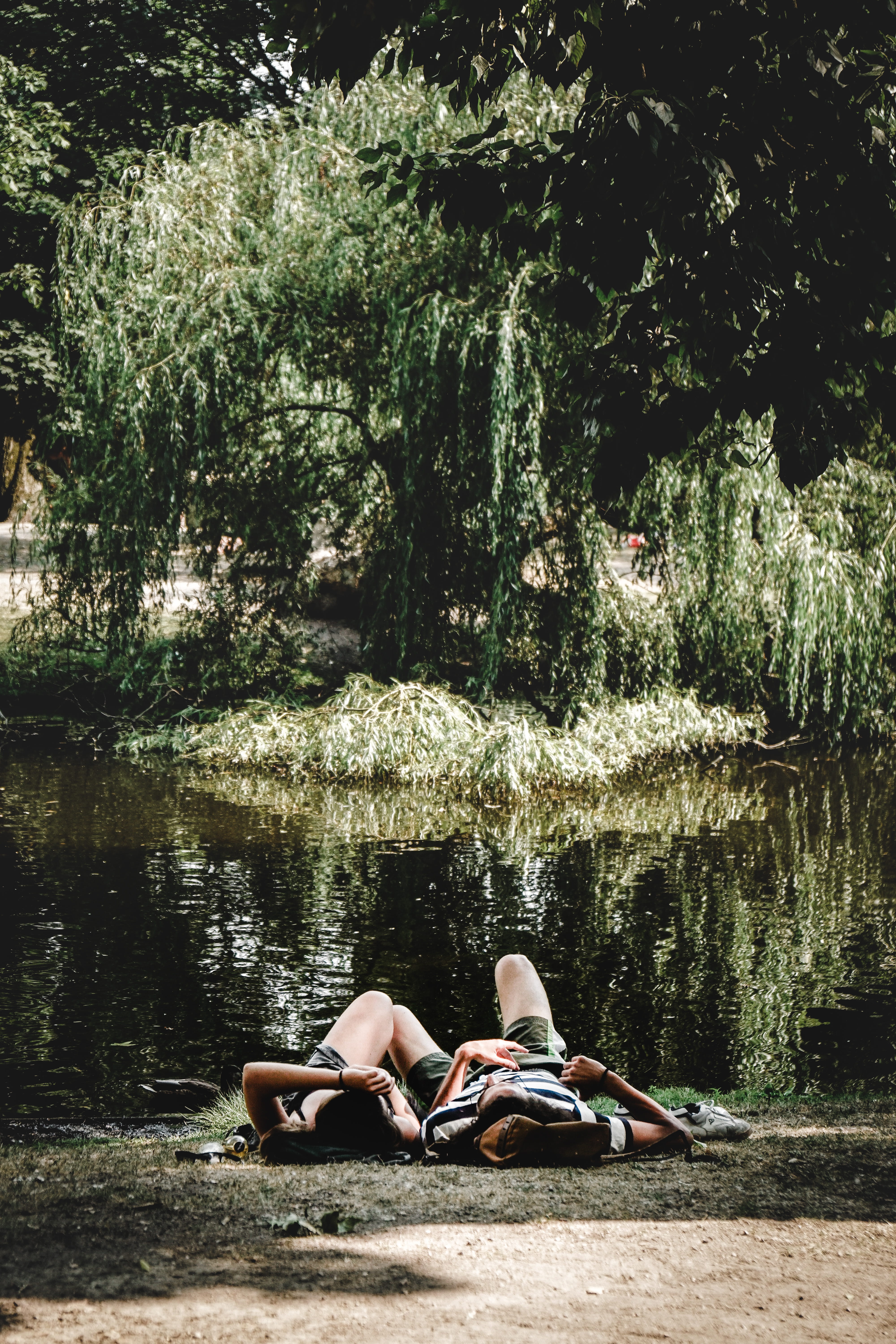 plant, jar, pottery, tree, lifestyles, couple - relationship, 5K, women, forest, adult, oars, real people, transportation, leisure activity, boat, togetherness, Phone HD Wallpaper