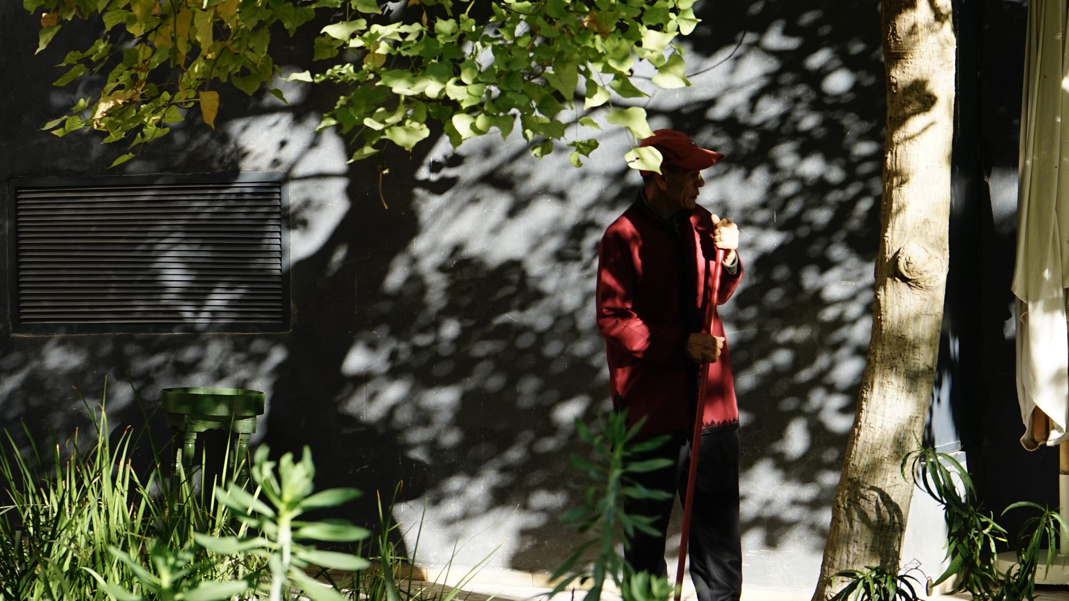 wall, garden, wearing, human, jar, real people, red, men, tree, potted plant, full length, person, hat, apparel, sun hat, blossom, nature, jacket, overcoat, HD Wallpaper